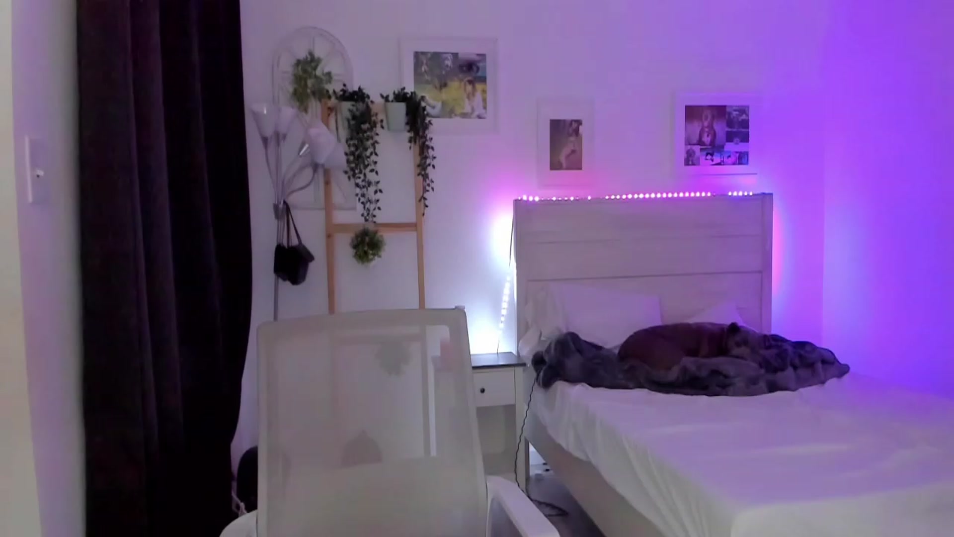 Gallery image thumbnail from Bunni_'s myfreecams stream on, 05/25/2023, 06:25 image 13 of 20