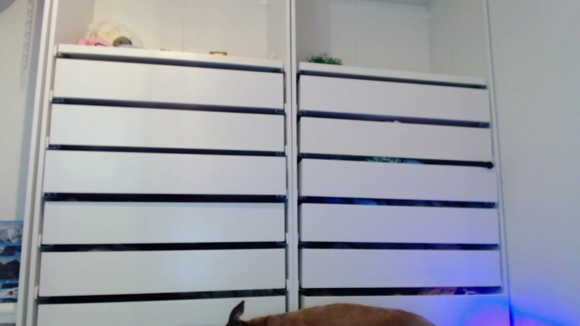 Gallery image thumbnail from Bunni_'s myfreecams stream on, 05/26/2023, 05:51 image 5 of 20