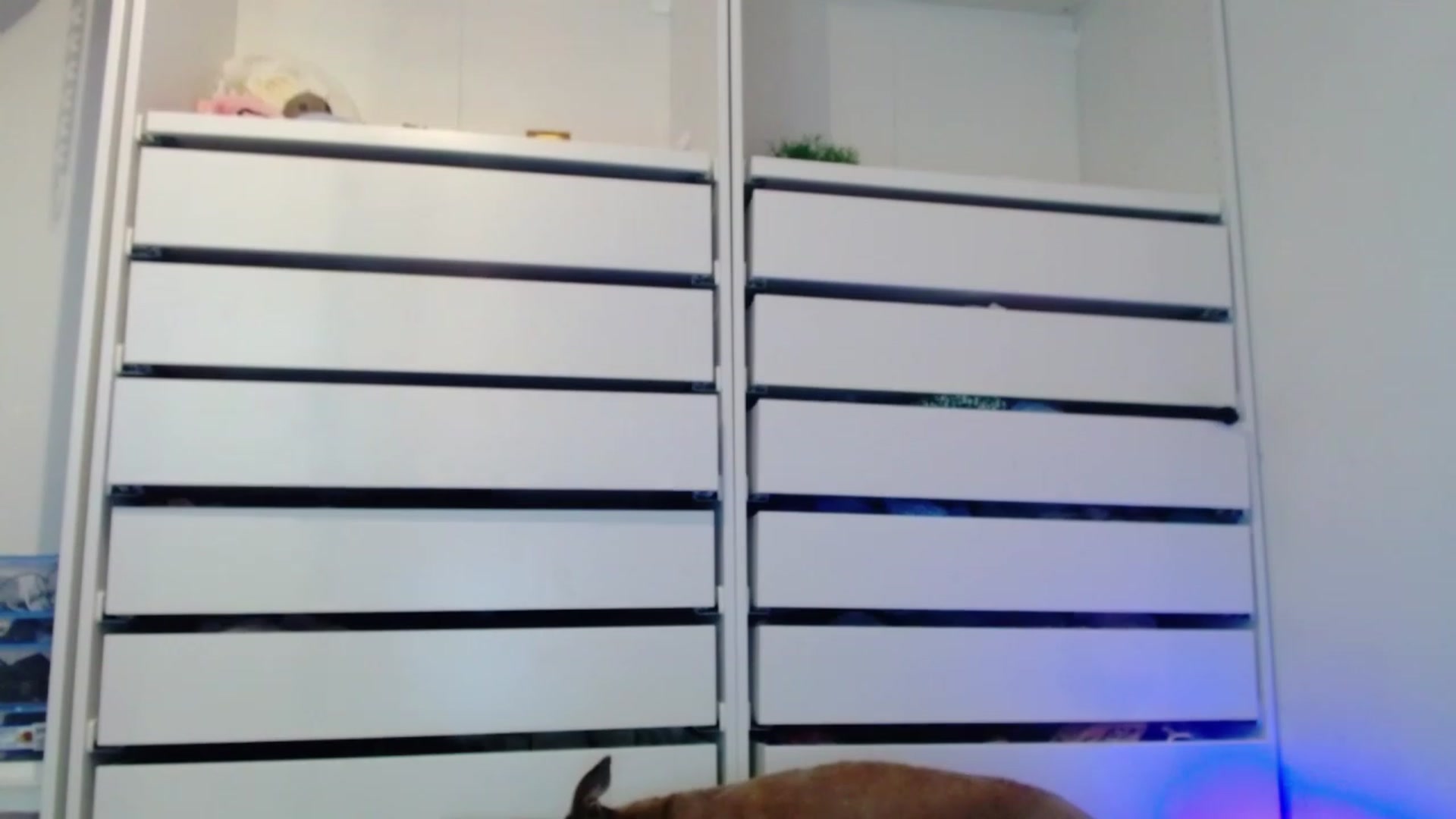 Gallery image thumbnail from Bunni_'s myfreecams stream on, 05/26/2023, 05:51 image 6 of 20