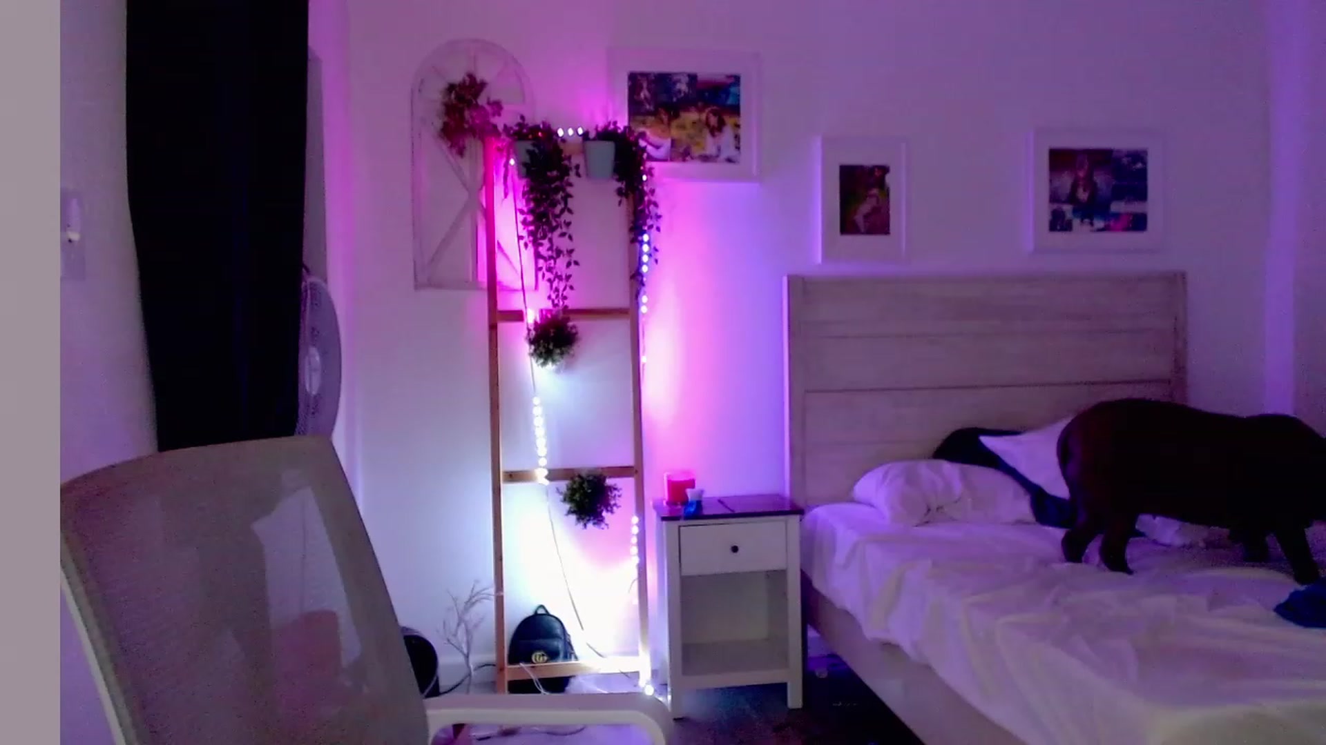 Gallery image thumbnail from Bunni_'s myfreecams stream on, 05/28/2023, 05:55 image 7 of 20
