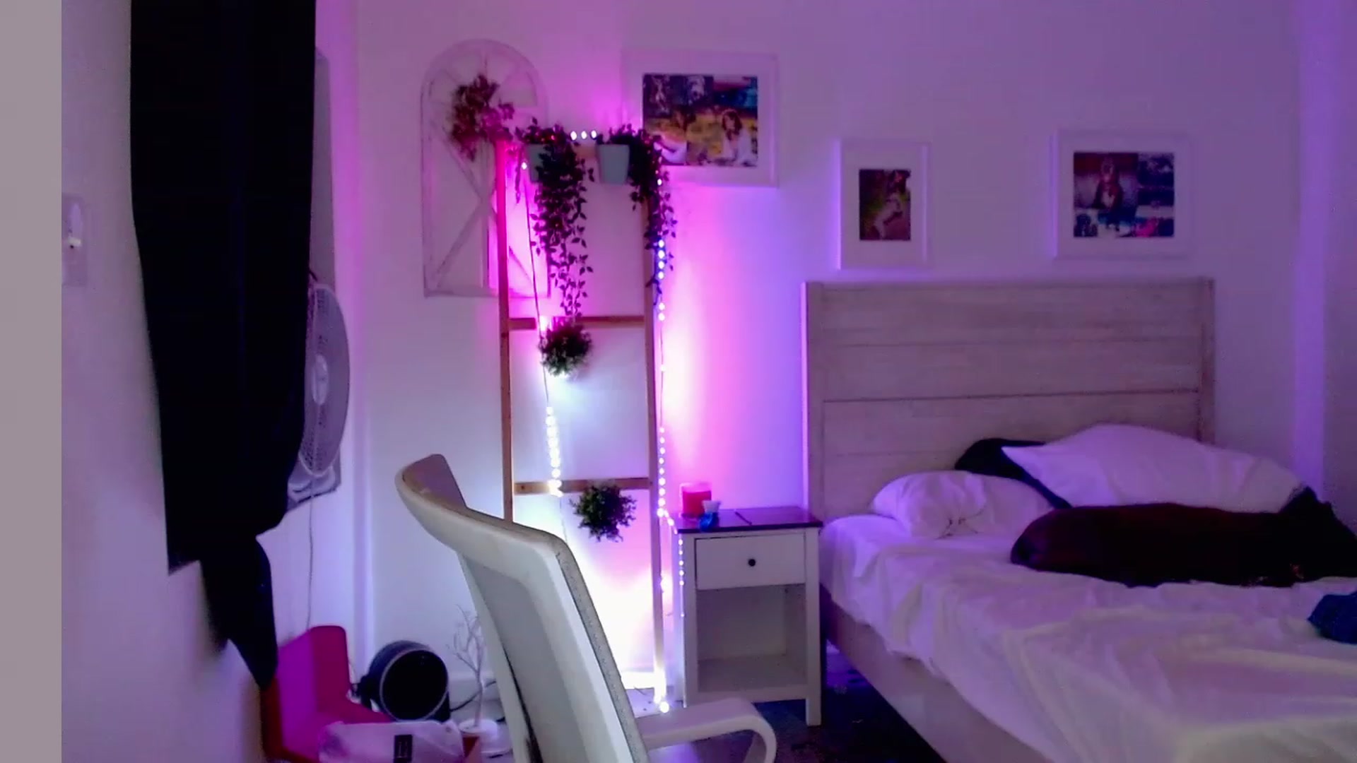 Gallery image thumbnail from Bunni_'s myfreecams stream on, 05/28/2023, 05:55 image 6 of 20