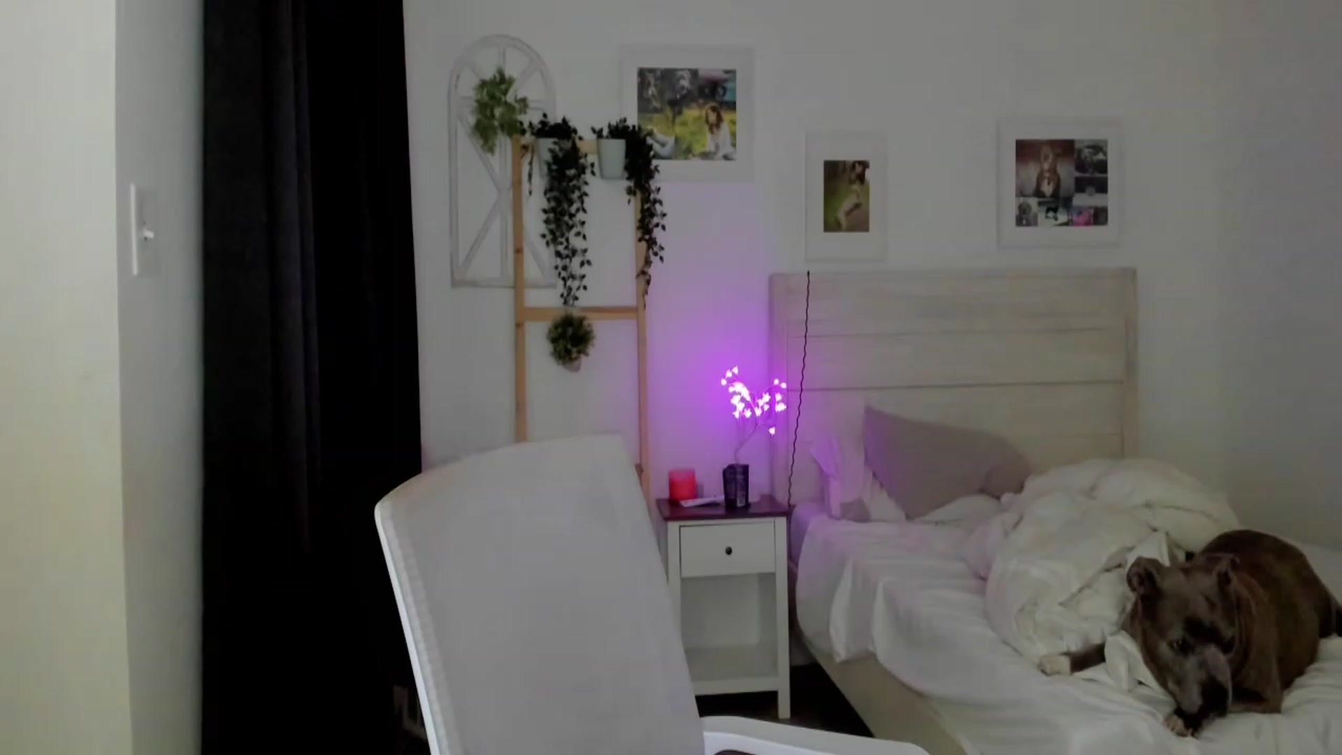 Gallery image thumbnail from Bunni_'s myfreecams stream on, 06/06/2023, 06:25 image 4 of 20