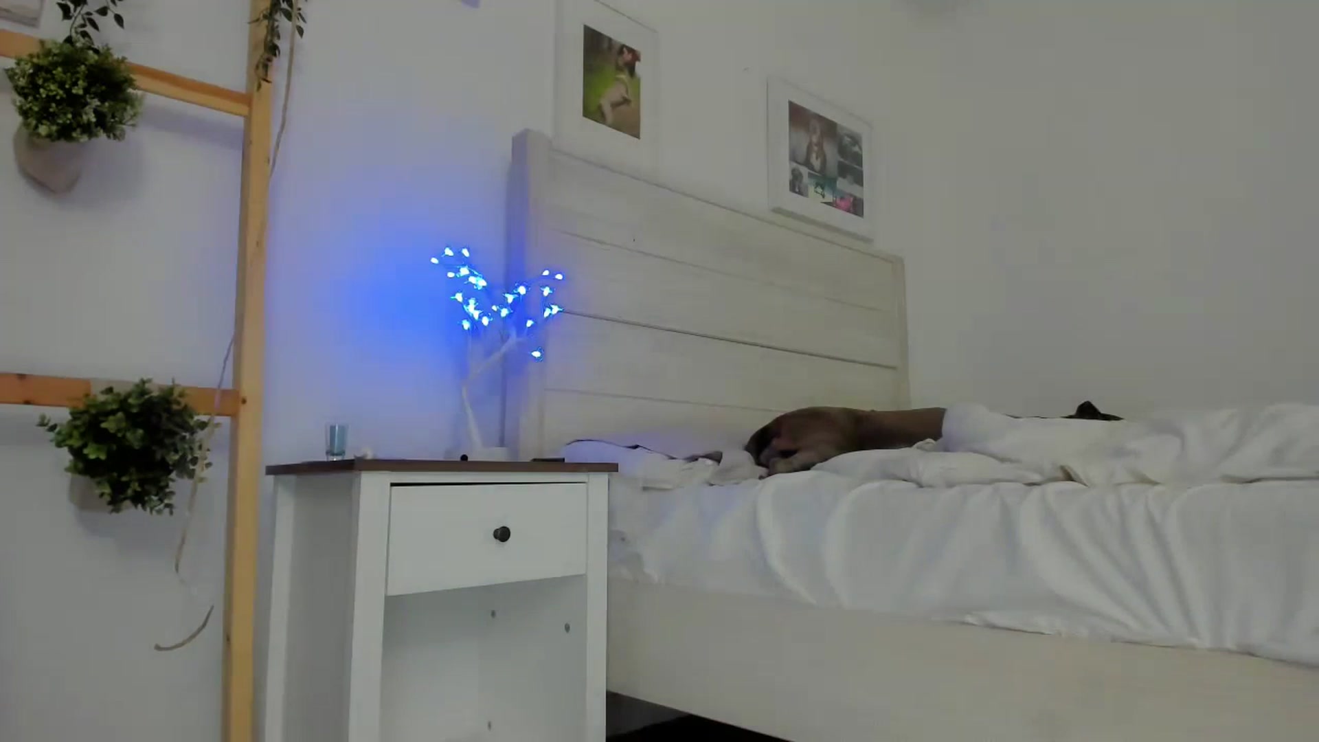 Gallery image thumbnail from Bunni_'s myfreecams stream on, 06/16/2023, 07:13 image 4 of 20