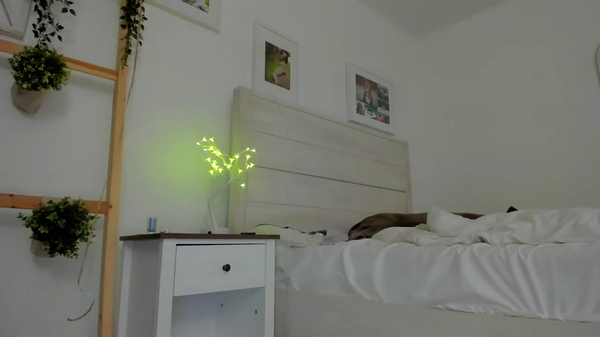 Gallery image thumbnail from Bunni_'s myfreecams stream on, 06/16/2023, 07:13 image 8 of 20