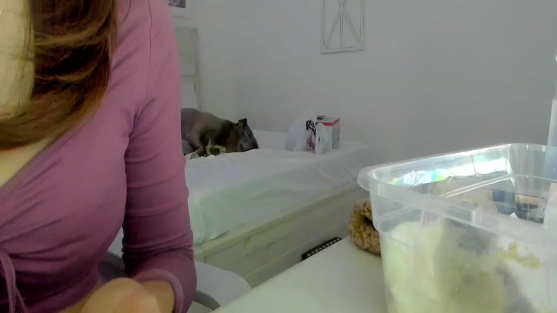 Gallery image thumbnail from Bunni_'s myfreecams stream on, 06/17/2023, 07:14 image 5 of 20