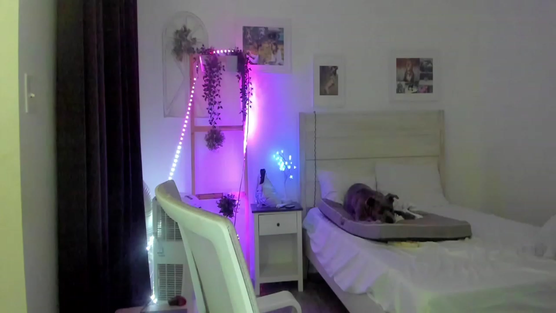 Gallery image thumbnail from Bunni_'s myfreecams stream on, 06/17/2023, 07:14 image 1 of 20