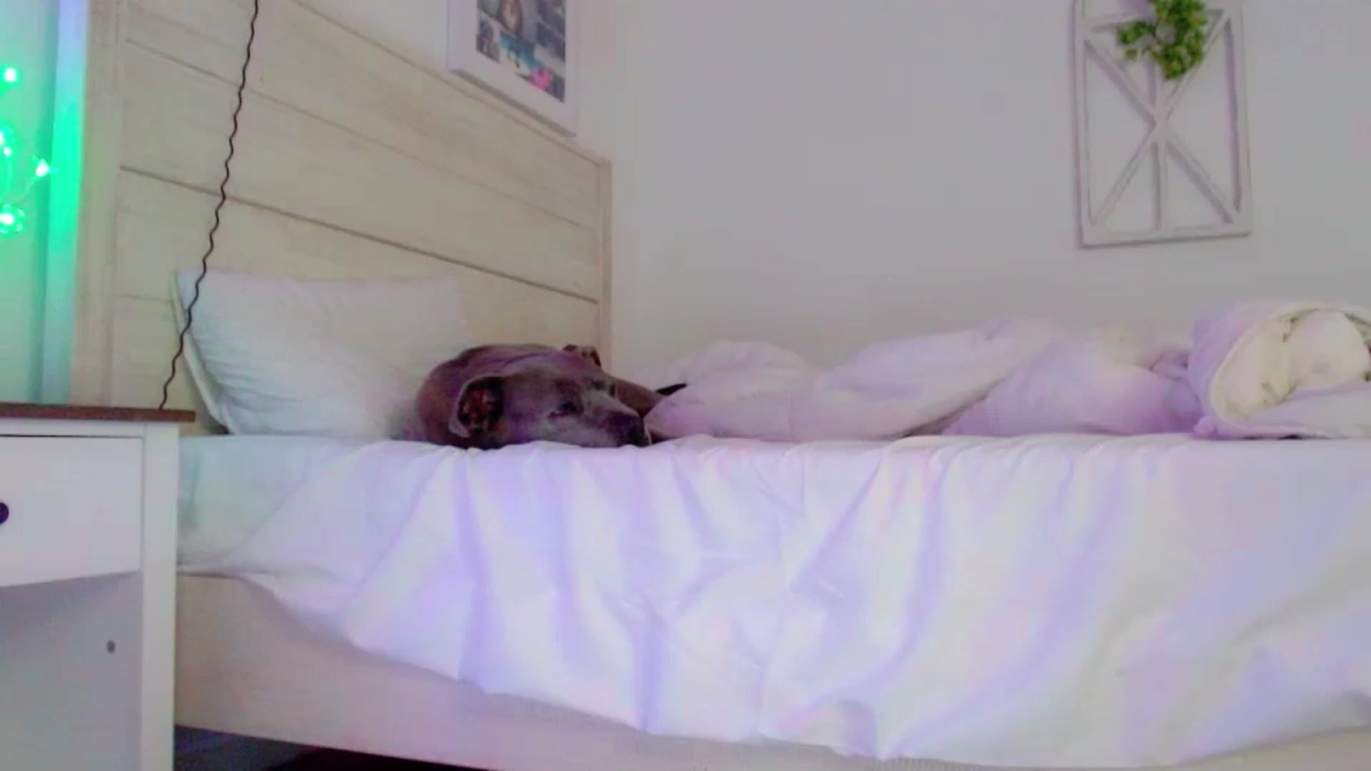 Gallery image thumbnail from Bunni_'s myfreecams stream on, 06/18/2023, 07:08 image 18 of 20