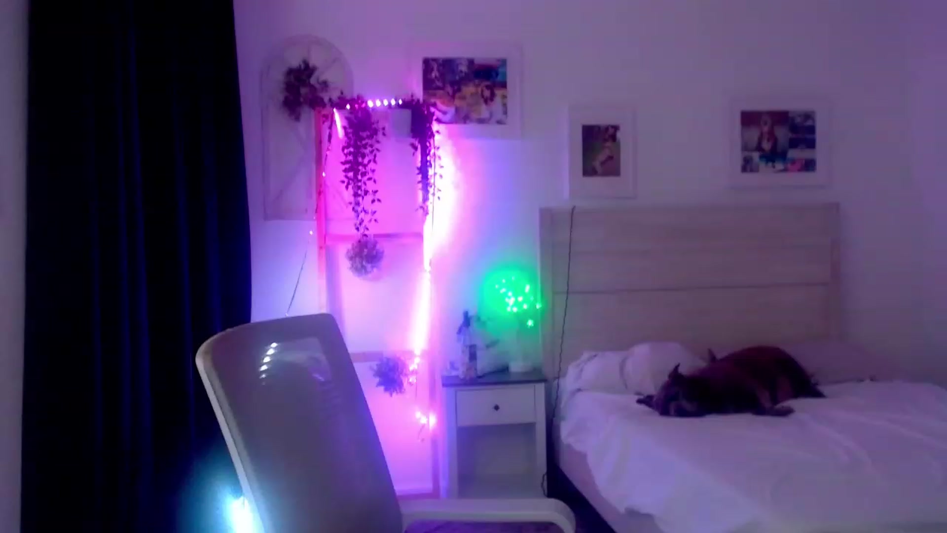 Gallery image thumbnail from Bunni_'s myfreecams stream on, 06/20/2023, 07:43 image 9 of 20