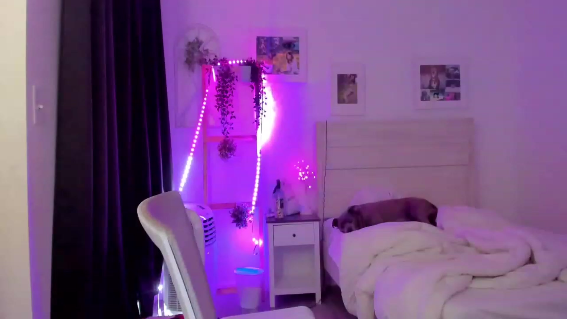 Gallery image thumbnail from Bunni_'s myfreecams stream on, 06/21/2023, 06:30 image 1 of 20
