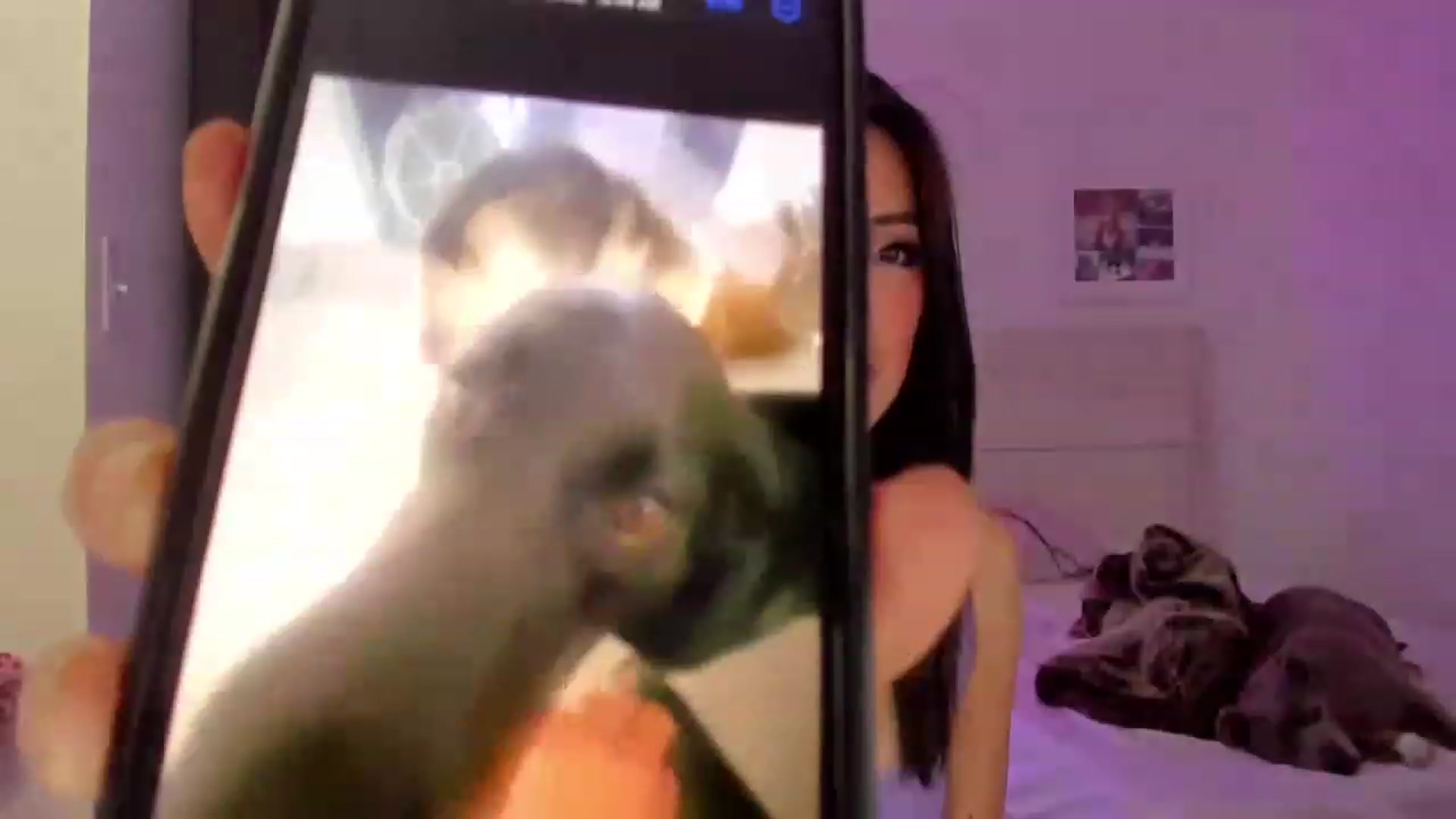 Gallery image thumbnail from Bunni_'s myfreecams stream on, 06/24/2023, 05:35 image 5 of 20