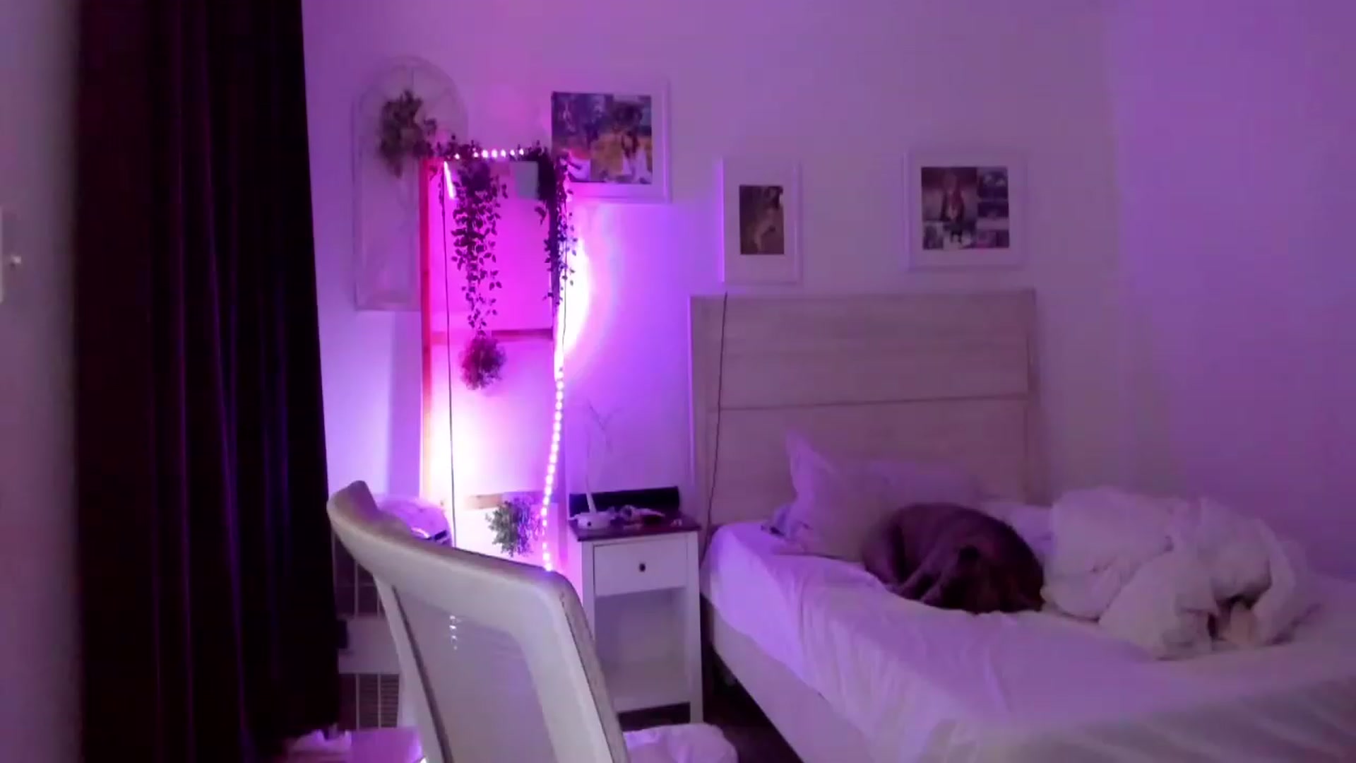 Gallery image thumbnail from Bunni_'s myfreecams stream on, 06/30/2023, 07:08 image 9 of 20