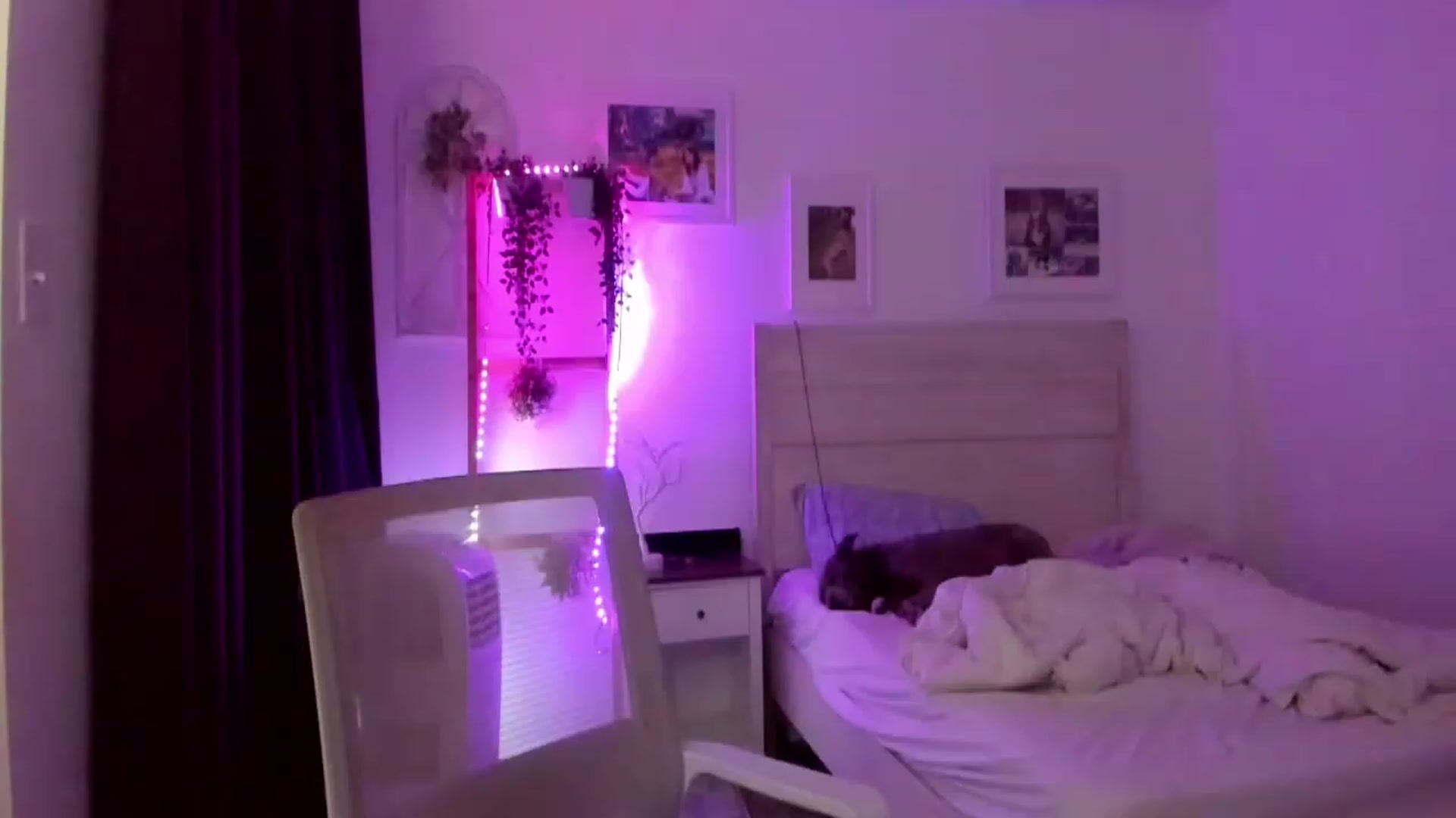 Gallery image thumbnail from Bunni_'s myfreecams stream on, 07/02/2023, 06:56 image 5 of 20