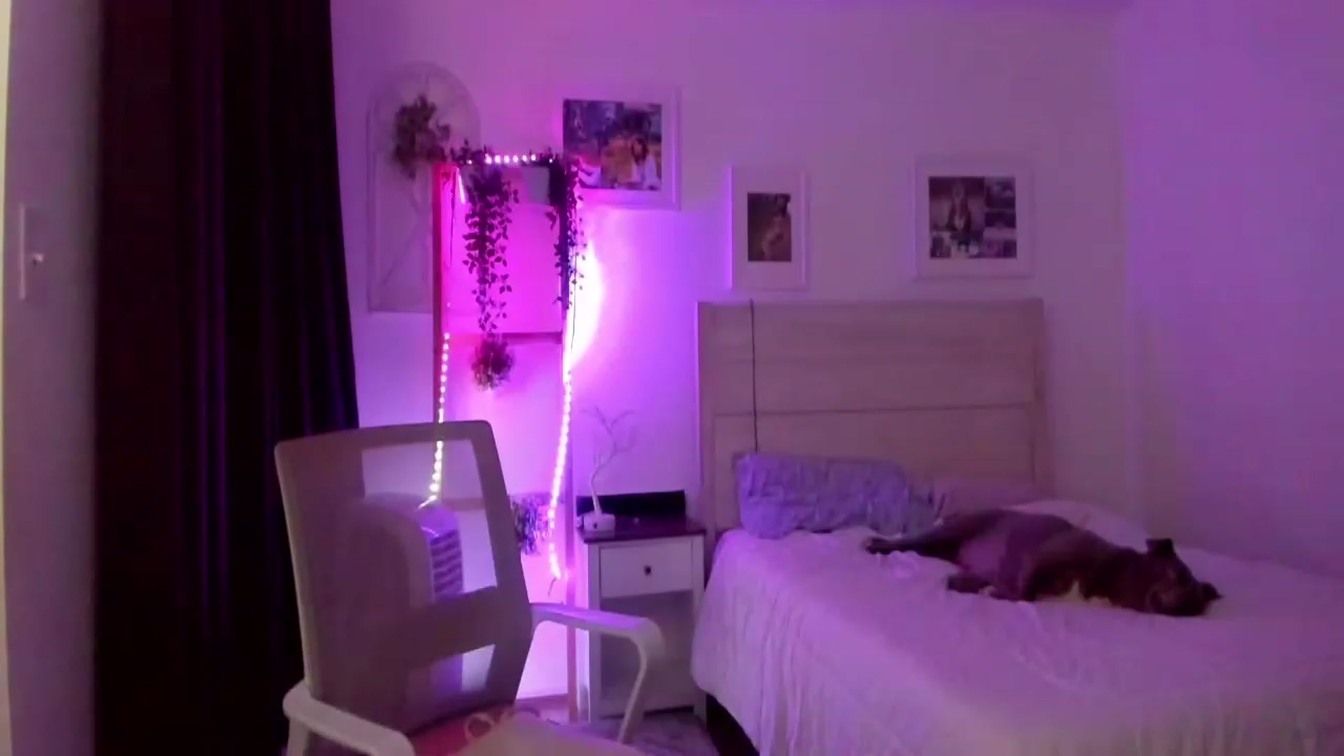 Gallery image thumbnail from Bunni_'s myfreecams stream on, 07/03/2023, 07:04 image 8 of 20