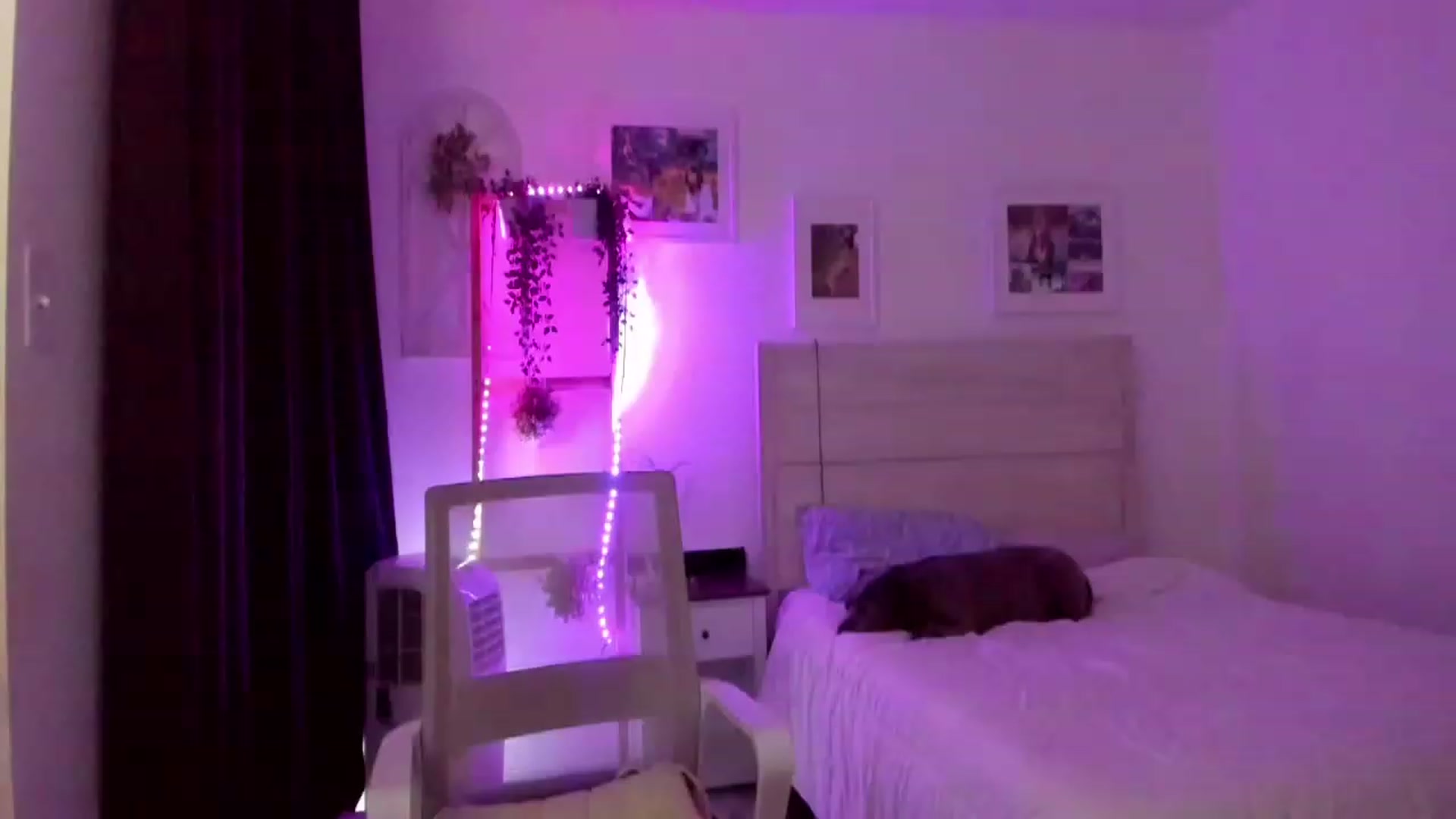 Gallery image thumbnail from Bunni_'s myfreecams stream on, 07/03/2023, 07:04 image 19 of 20