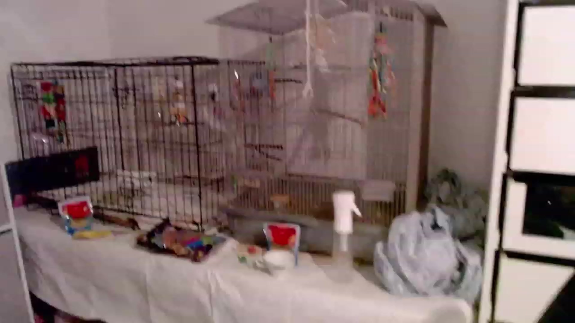 Gallery image thumbnail from Bunni_'s myfreecams stream on, 07/14/2023, 05:51 image 9 of 20
