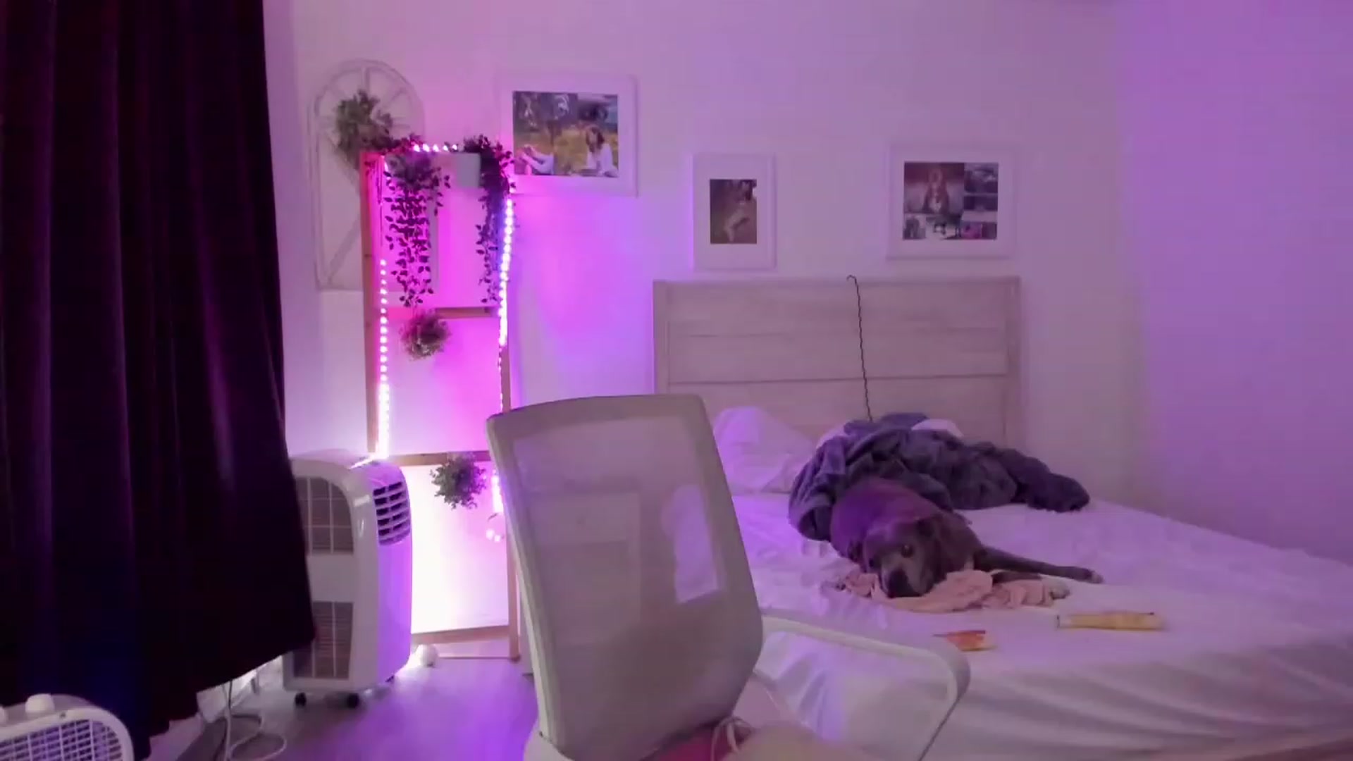 Gallery image thumbnail from Bunni_'s myfreecams stream on, 07/19/2023, 06:06 image 11 of 20