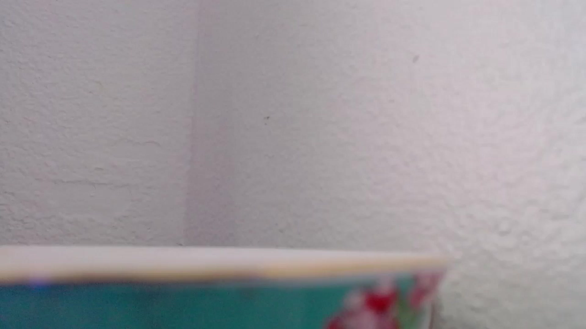 Gallery image thumbnail from Bunni_'s myfreecams stream on, 07/22/2023, 06:17 image 1 of 20