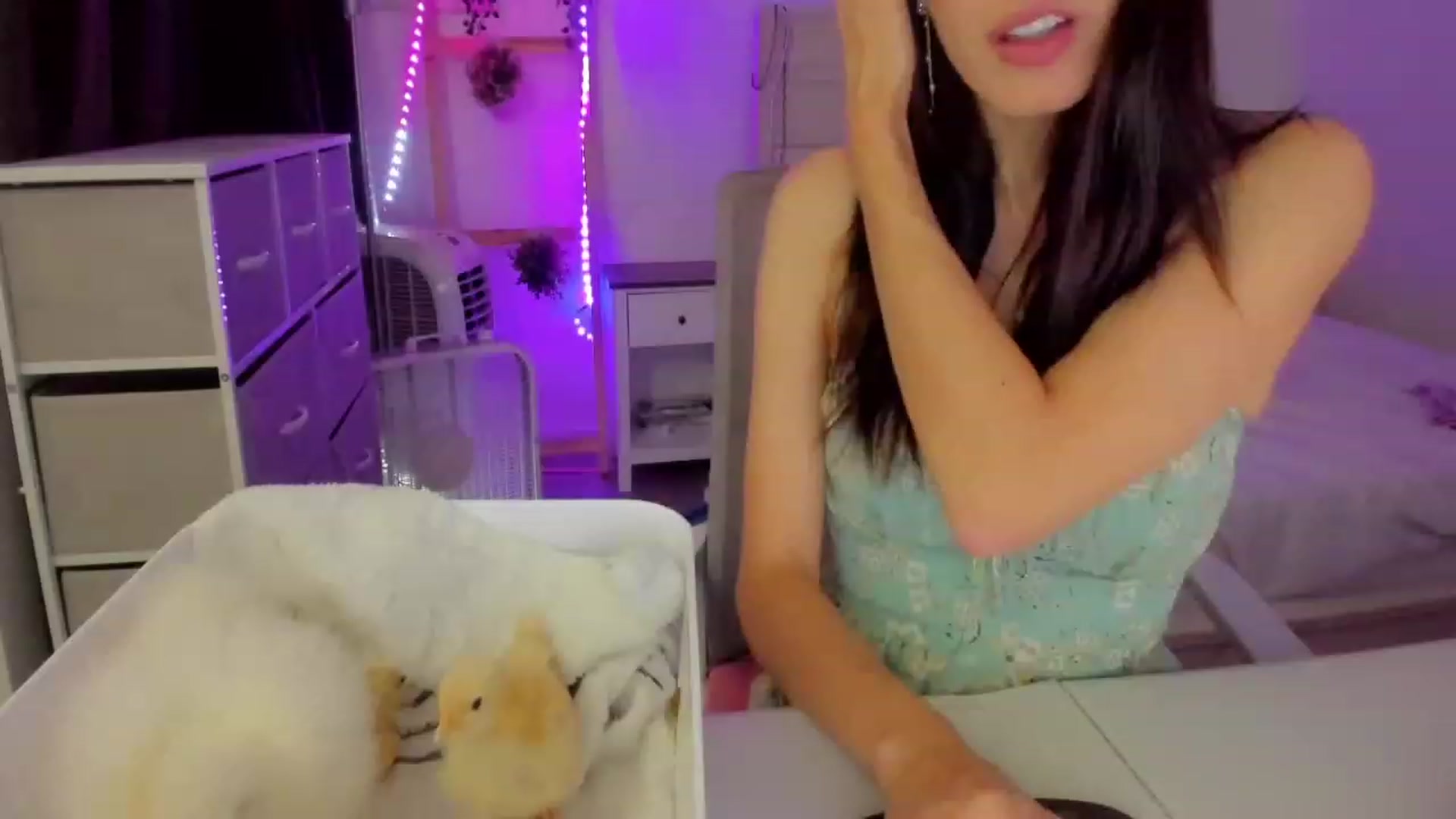Gallery image thumbnail from Bunni_'s myfreecams stream on, 07/26/2023, 06:25 image 19 of 20