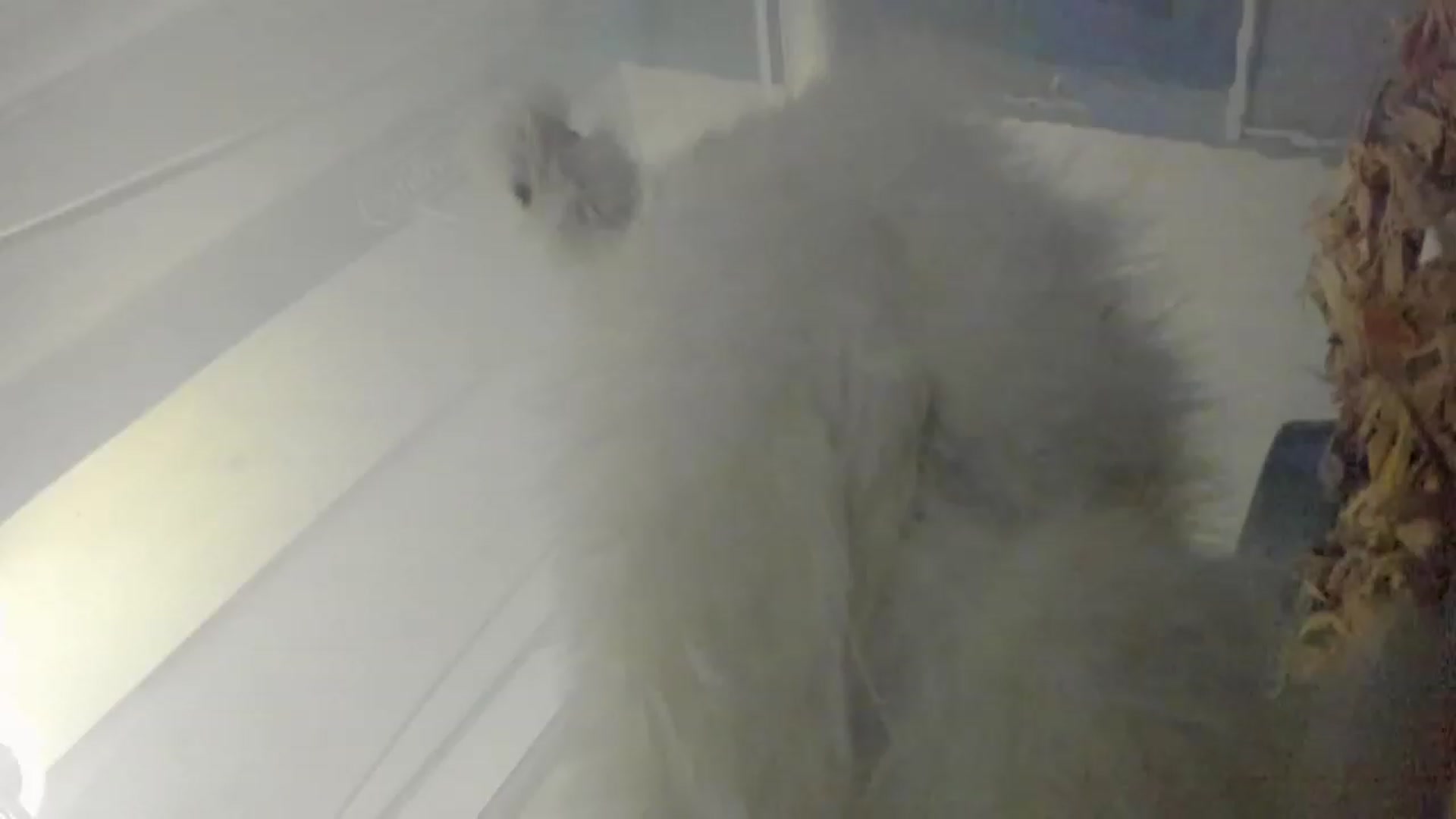 Gallery image thumbnail from Bunni_'s myfreecams stream on, 07/27/2023, 06:02 image 1 of 20