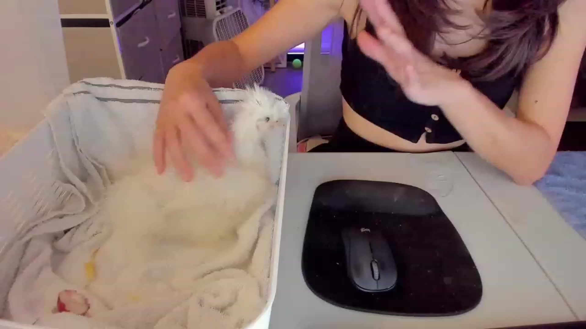 Gallery image thumbnail from Bunni_'s myfreecams stream on, 07/28/2023, 06:21 image 13 of 20