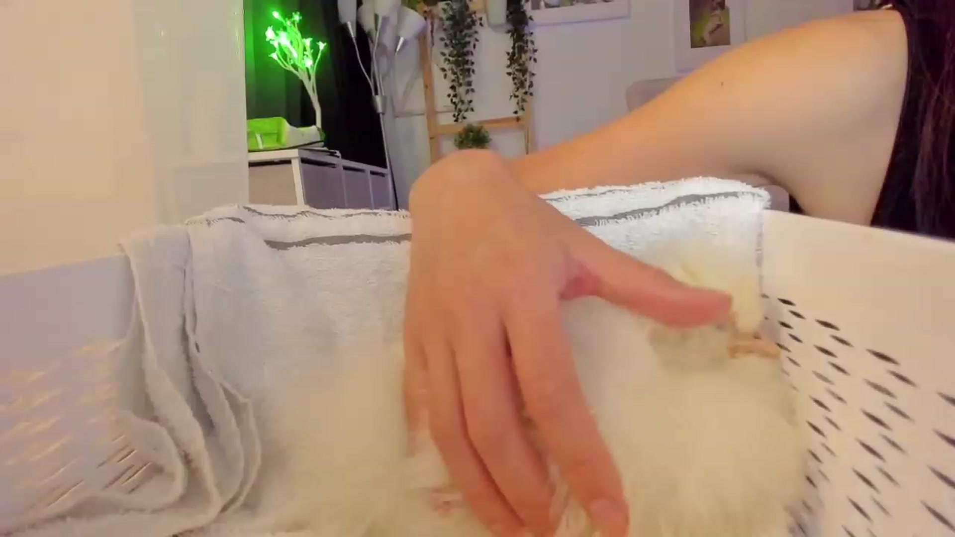 Gallery image thumbnail from Bunni_'s myfreecams stream on, 07/28/2023, 06:21 image 18 of 20