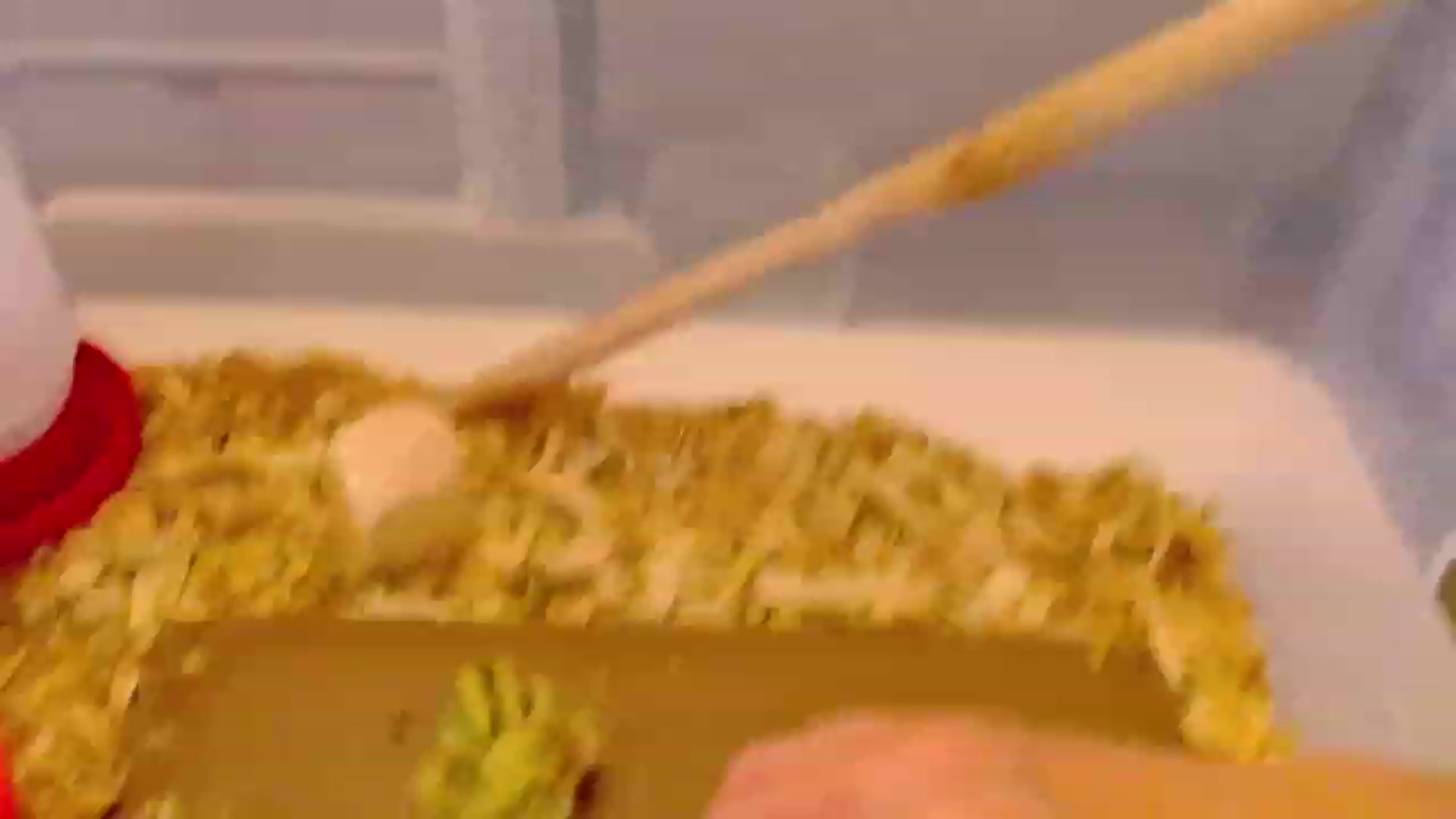 Gallery image thumbnail from Bunni_'s myfreecams stream on, 08/01/2023, 07:05 image 17 of 20