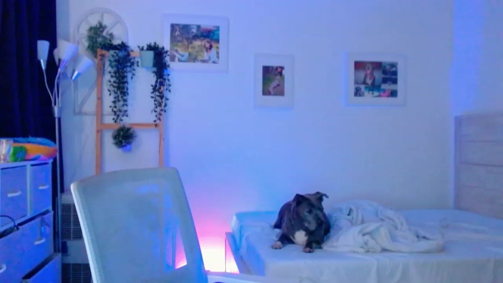 Gallery image thumbnail from Bunni_'s myfreecams stream on, 08/04/2023, 06:35 image 14 of 20