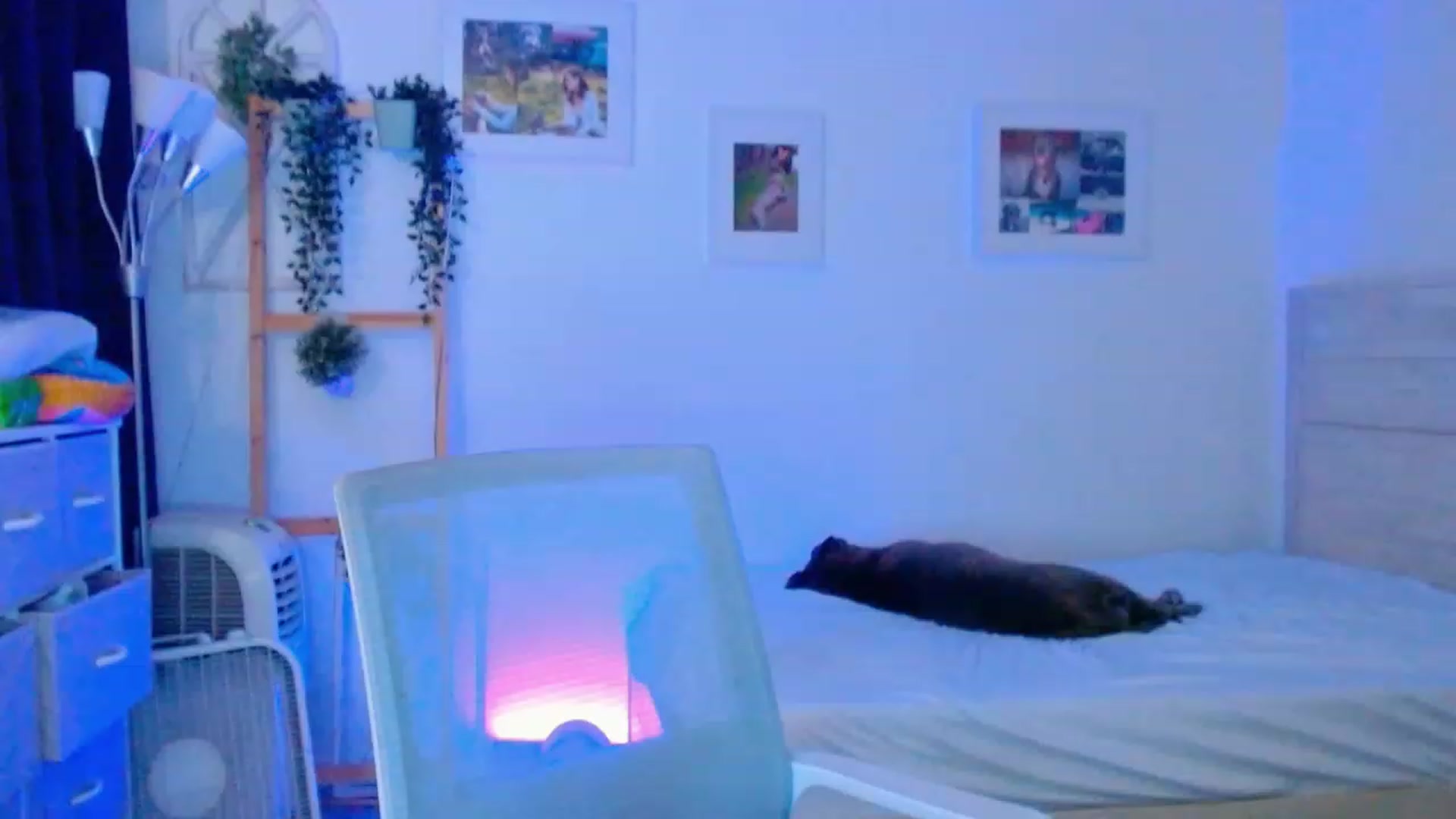 Gallery image thumbnail from Bunni_'s myfreecams stream on, 08/05/2023, 06:57 image 16 of 20