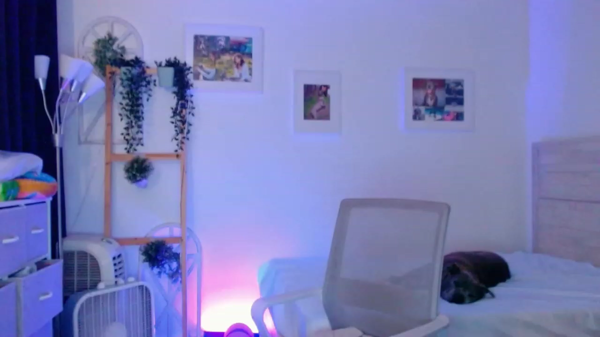 Gallery image thumbnail from Bunni_'s myfreecams stream on, 08/05/2023, 06:57 image 5 of 20