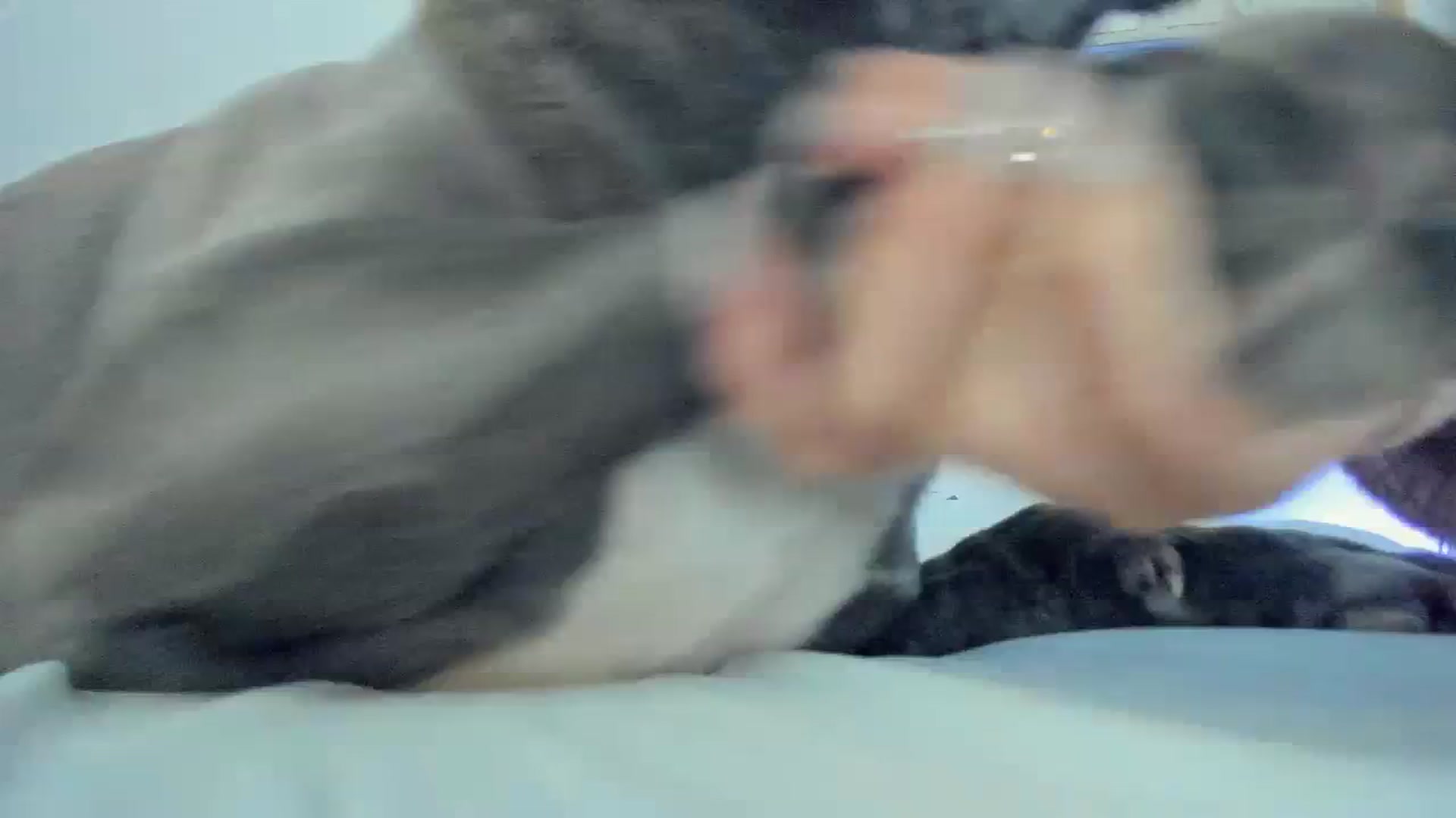 Gallery image thumbnail from Bunni_'s myfreecams stream on, 08/18/2023, 06:02 image 1 of 20