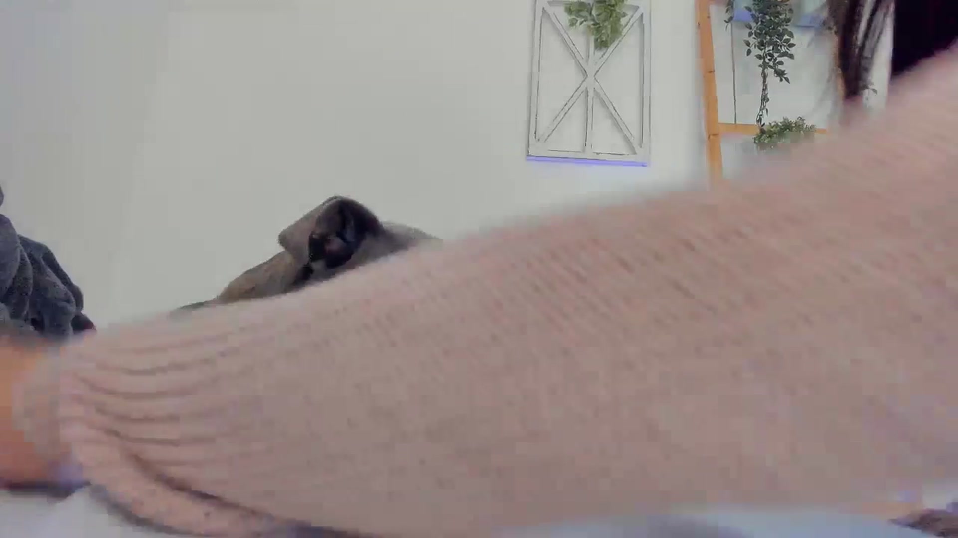 Gallery image thumbnail from Bunni_'s myfreecams stream on, 08/18/2023, 06:02 image 19 of 20