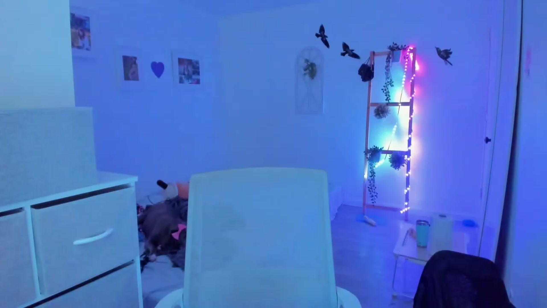 Gallery image thumbnail from Bunni_'s myfreecams stream on, 10/07/2023, 07:03 image 5 of 20