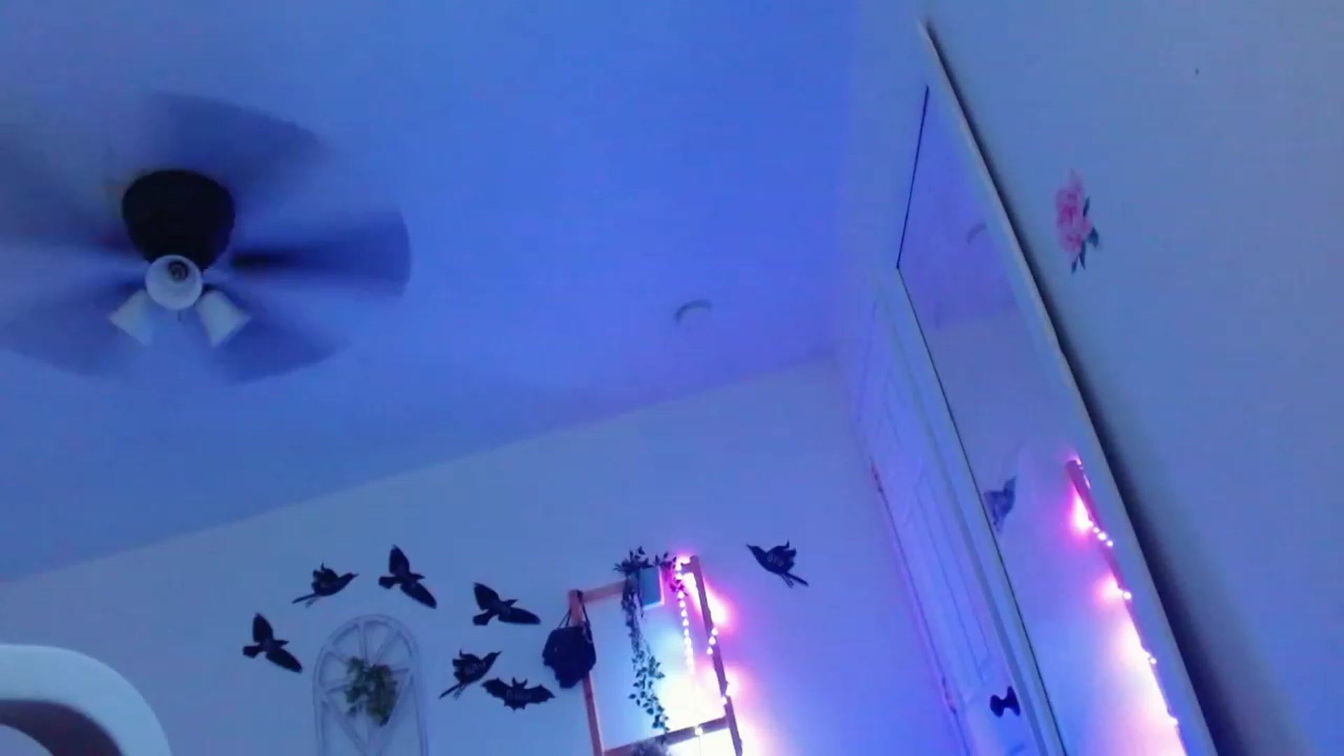 Gallery image thumbnail from Bunni_'s myfreecams stream on, 10/08/2023, 06:12 image 12 of 20