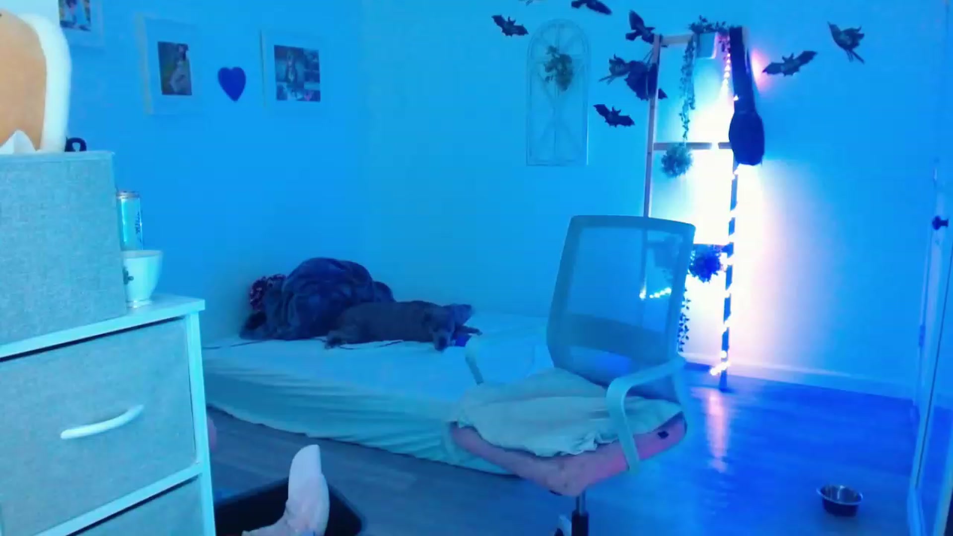 Gallery image thumbnail from Bunni_'s myfreecams stream on, 10/09/2023, 06:51 image 13 of 20