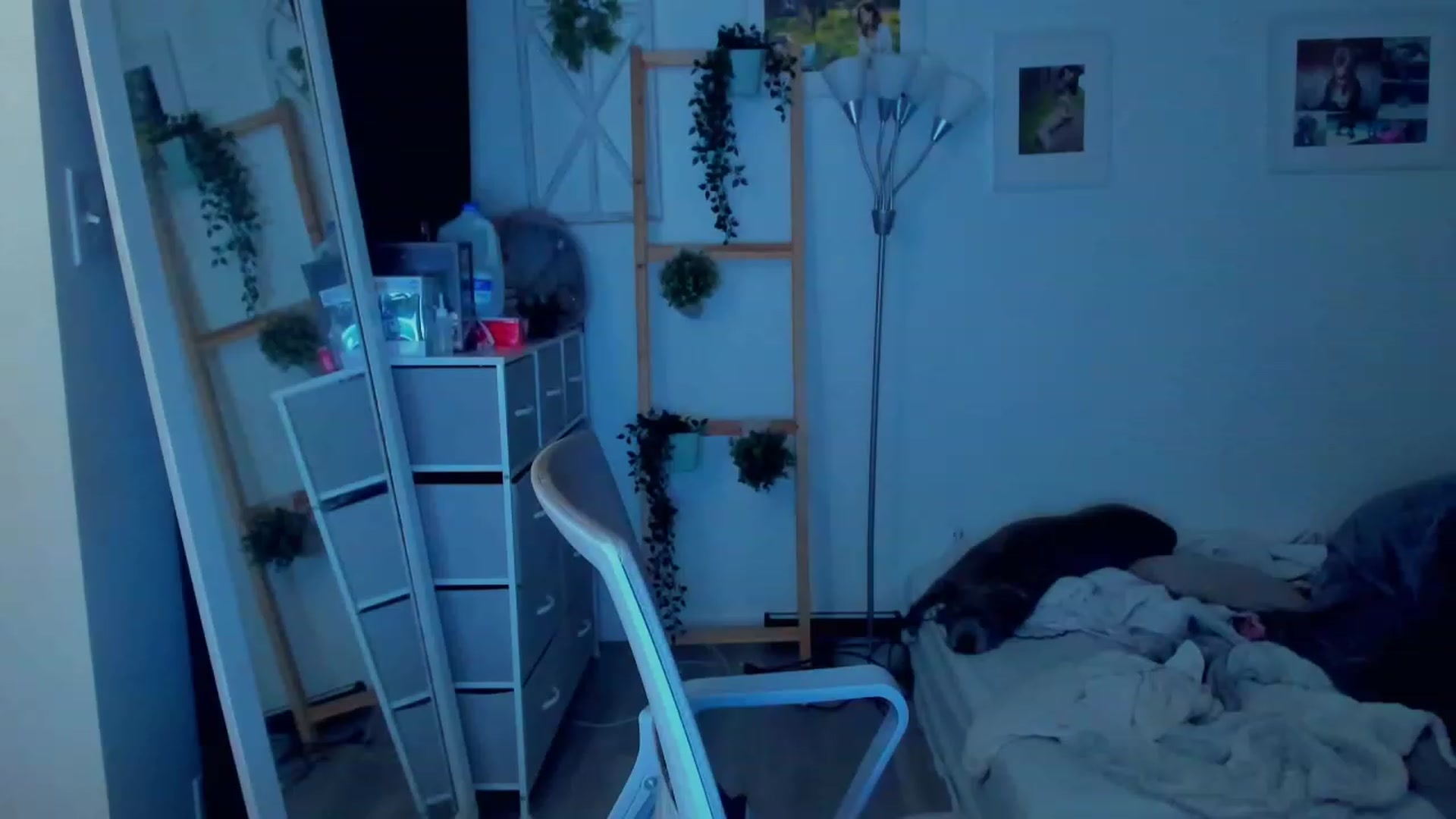 Gallery image thumbnail from Bunni_'s myfreecams stream on, 12/20/2023, 06:55 image 6 of 20
