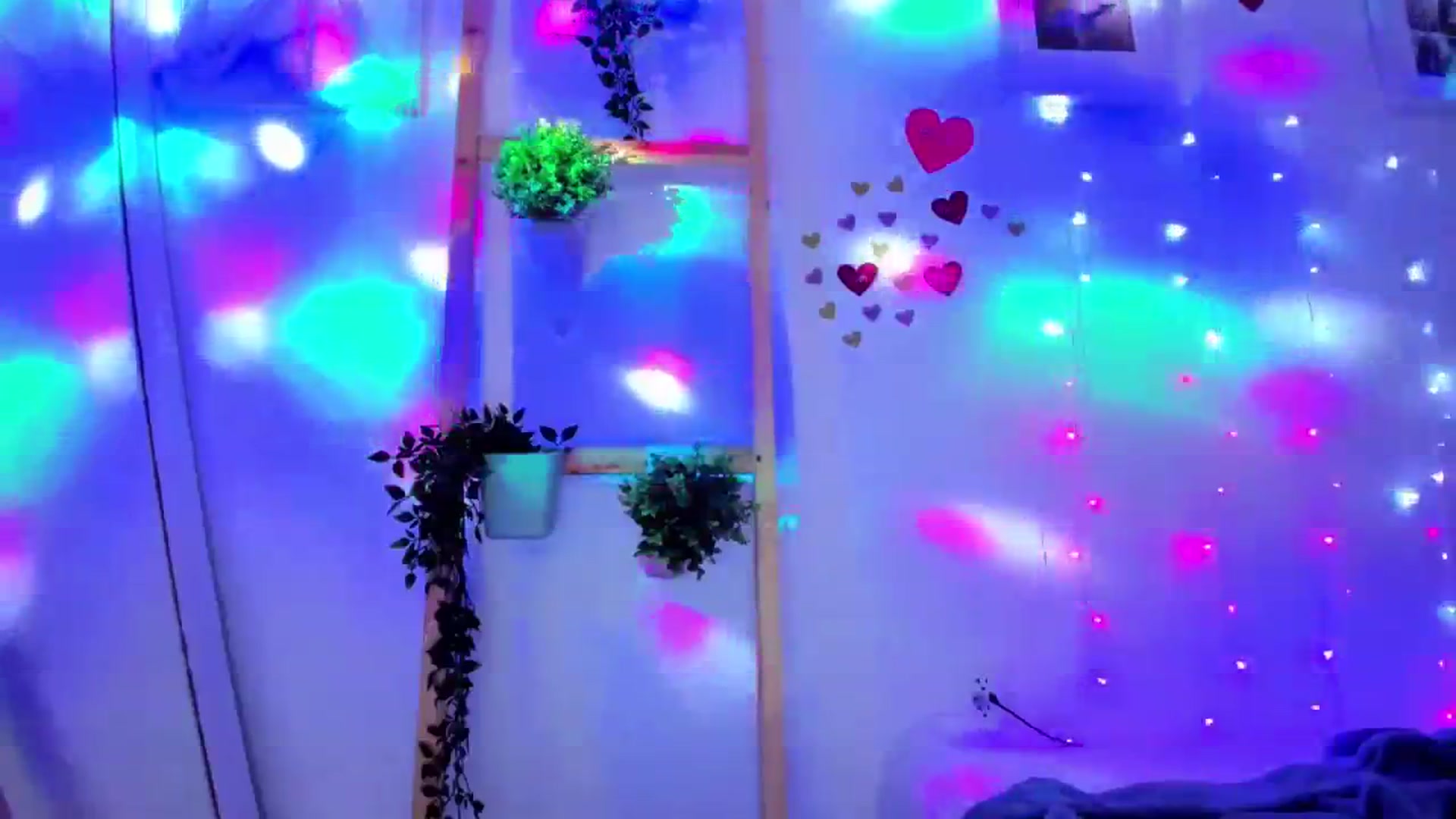 Gallery image thumbnail from Bunni_'s myfreecams stream on, 01/12/2024, 07:43 image 14 of 20