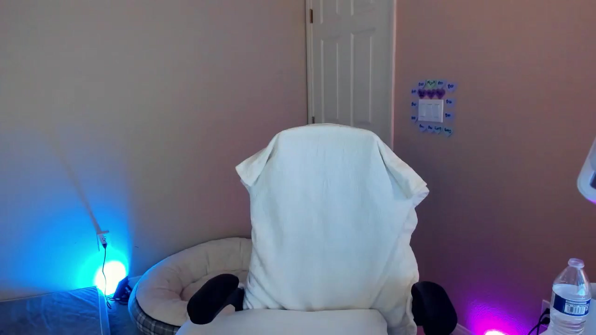 Gallery image thumbnail from Bunni_'s myfreecams stream on, 01/09/2025, 05:17 image 17 of 20