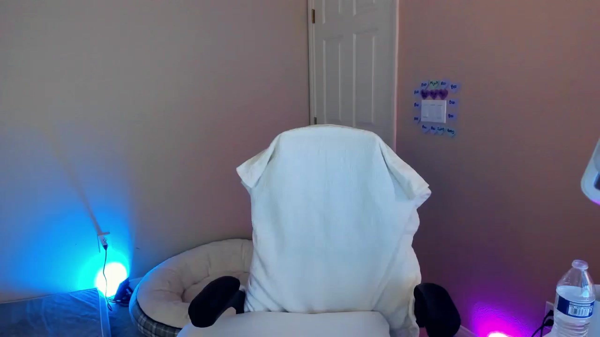 Gallery image thumbnail from Bunni_'s myfreecams stream on, 01/09/2025, 05:17 image 16 of 20