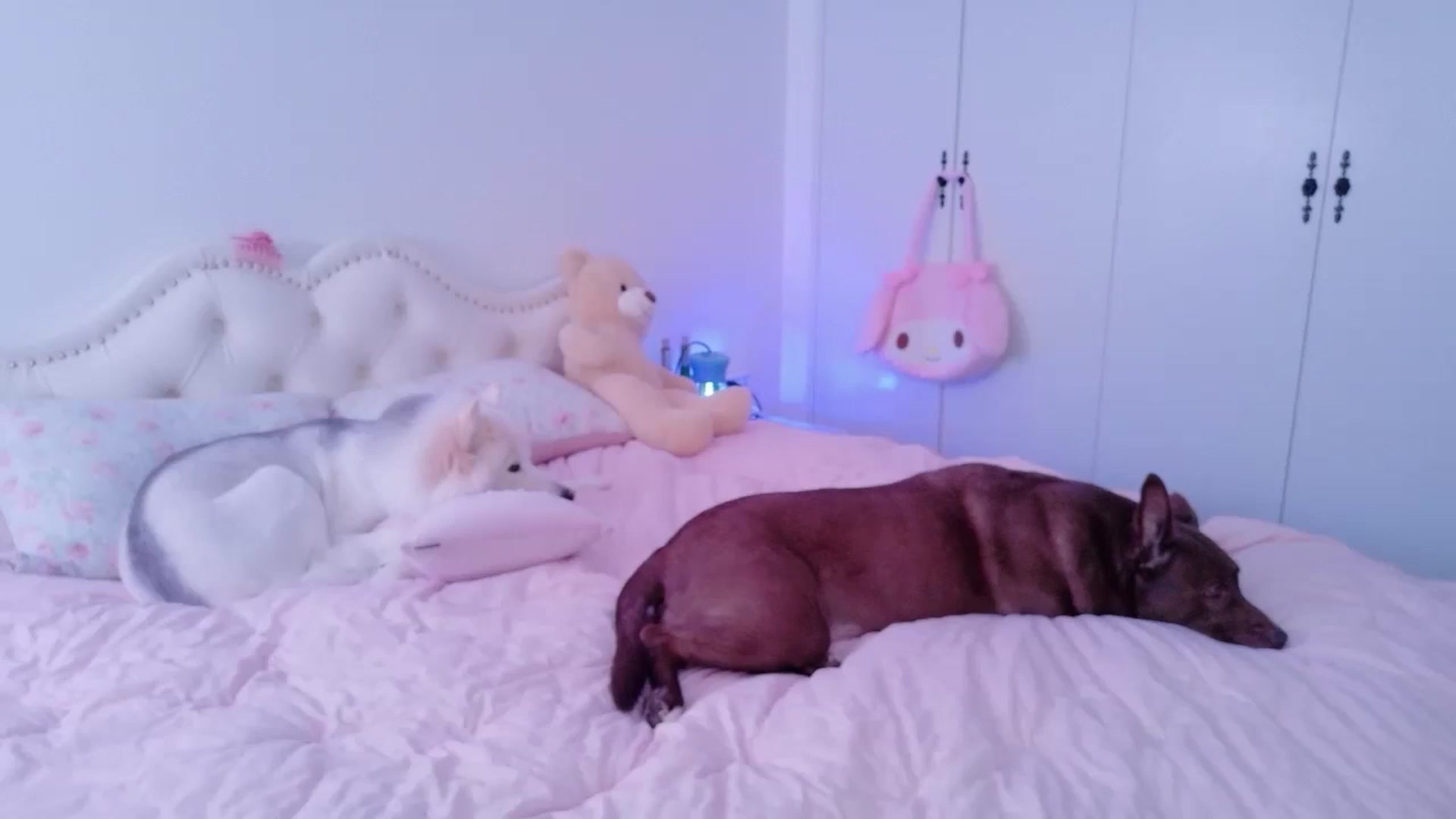 Gallery image thumbnail from Bunni_'s myfreecams stream on, 04/18/2026, 06:08 image 4 of 20