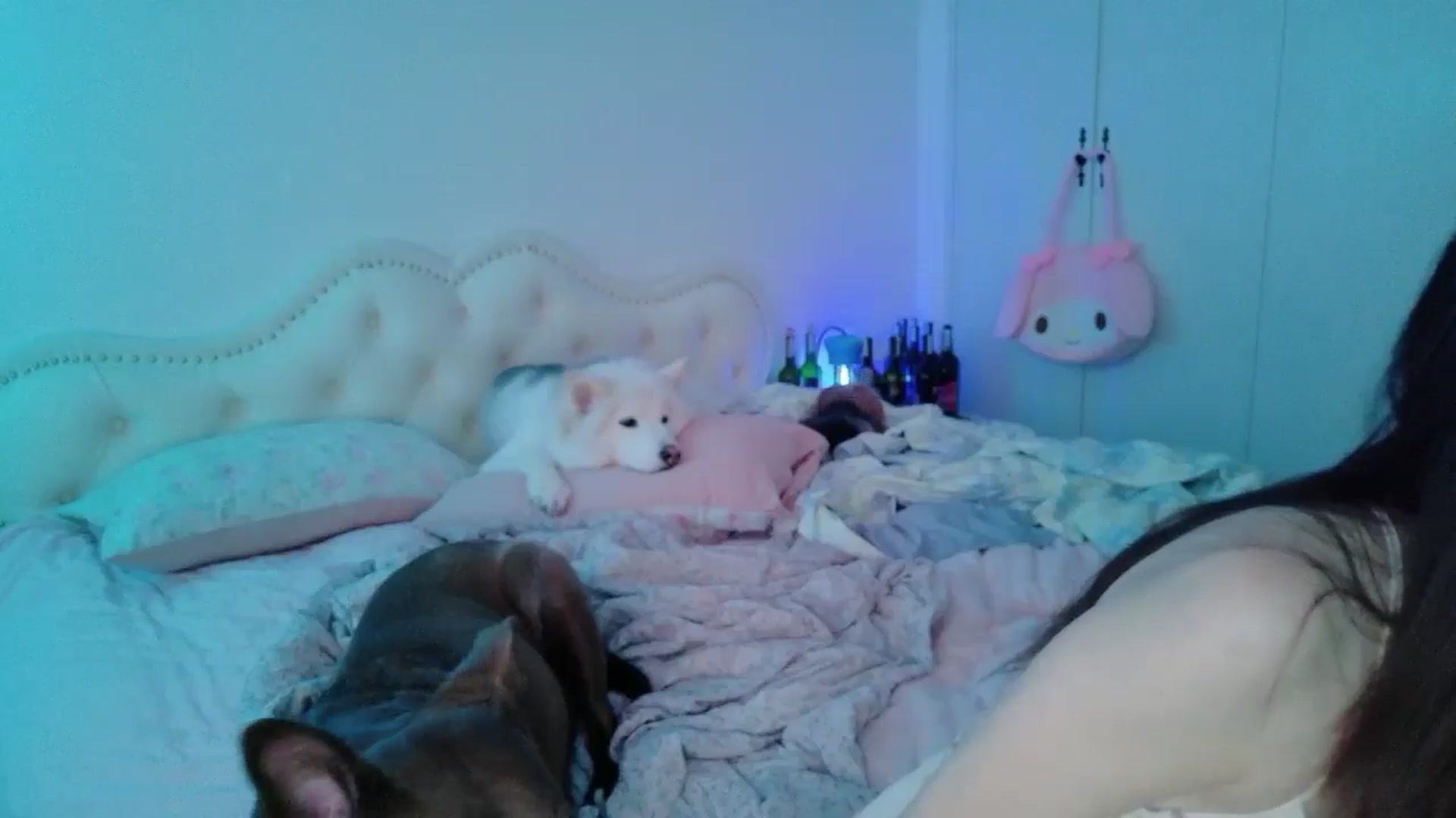 Gallery image thumbnail from Bunni_'s myfreecams stream on, 04/28/2026, 06:00 image 6 of 20