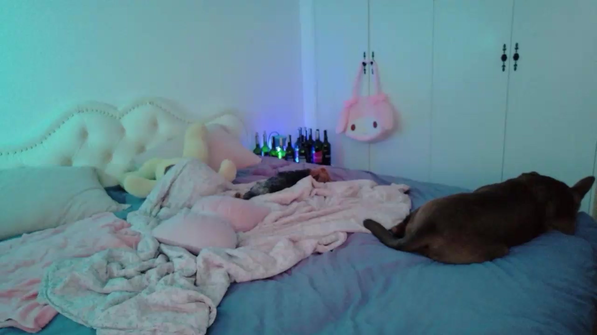 Gallery image thumbnail from Bunni_'s myfreecams stream on, 05/05/2026, 04:58 image 1 of 20