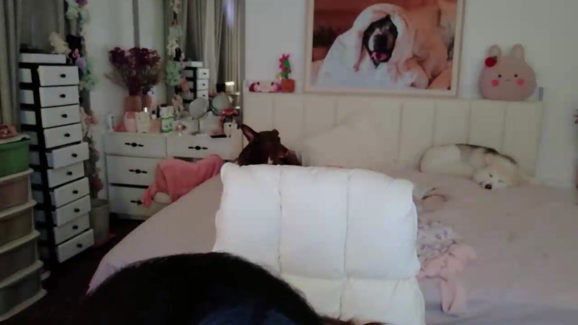 Gallery image thumbnail from Bunni_'s myfreecams stream on, 05/09/2026, 06:08 image 18 of 20