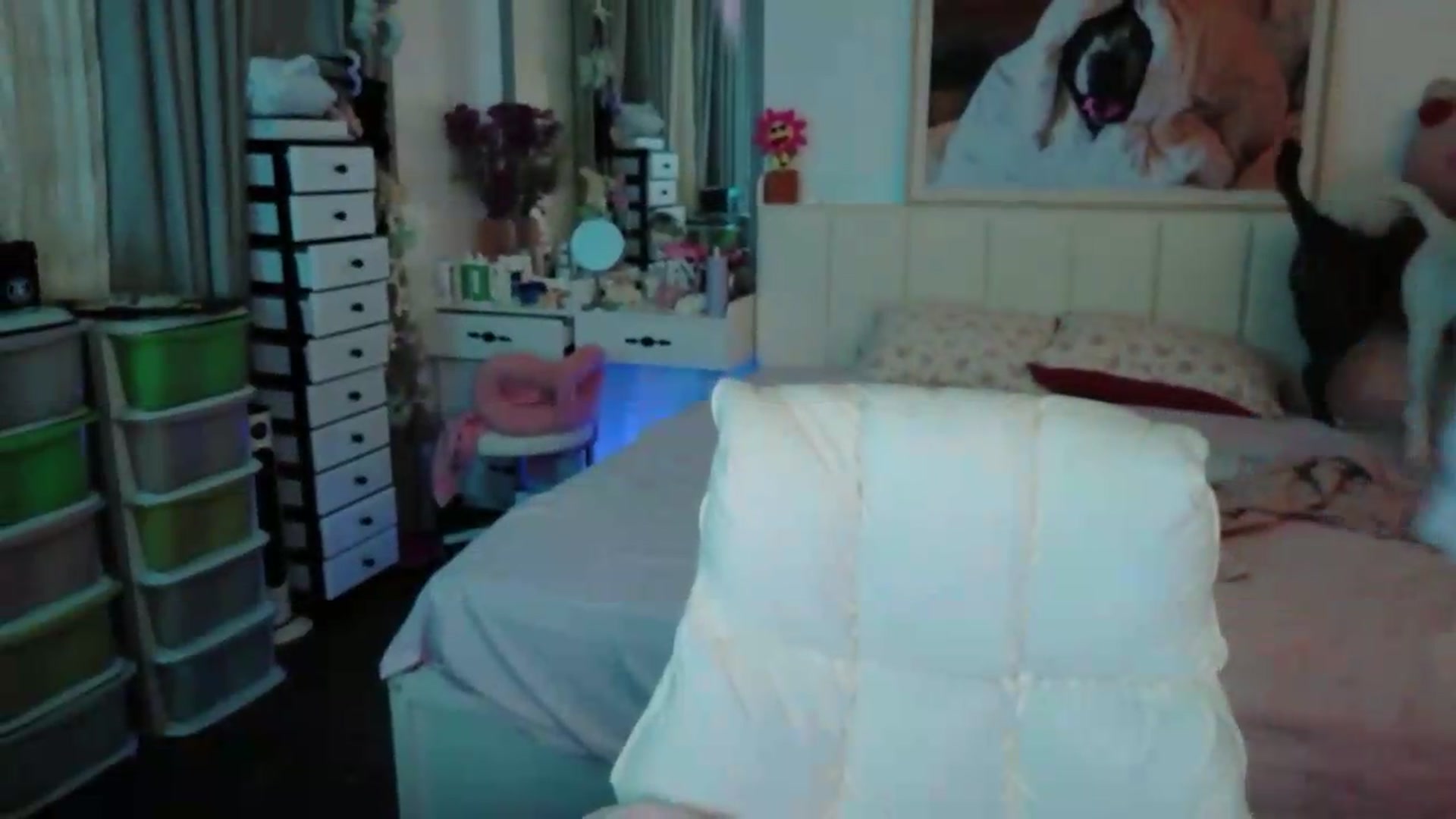 Gallery image thumbnail from Bunni_'s myfreecams stream on, 06/05/2026, 06:00 image 9 of 20