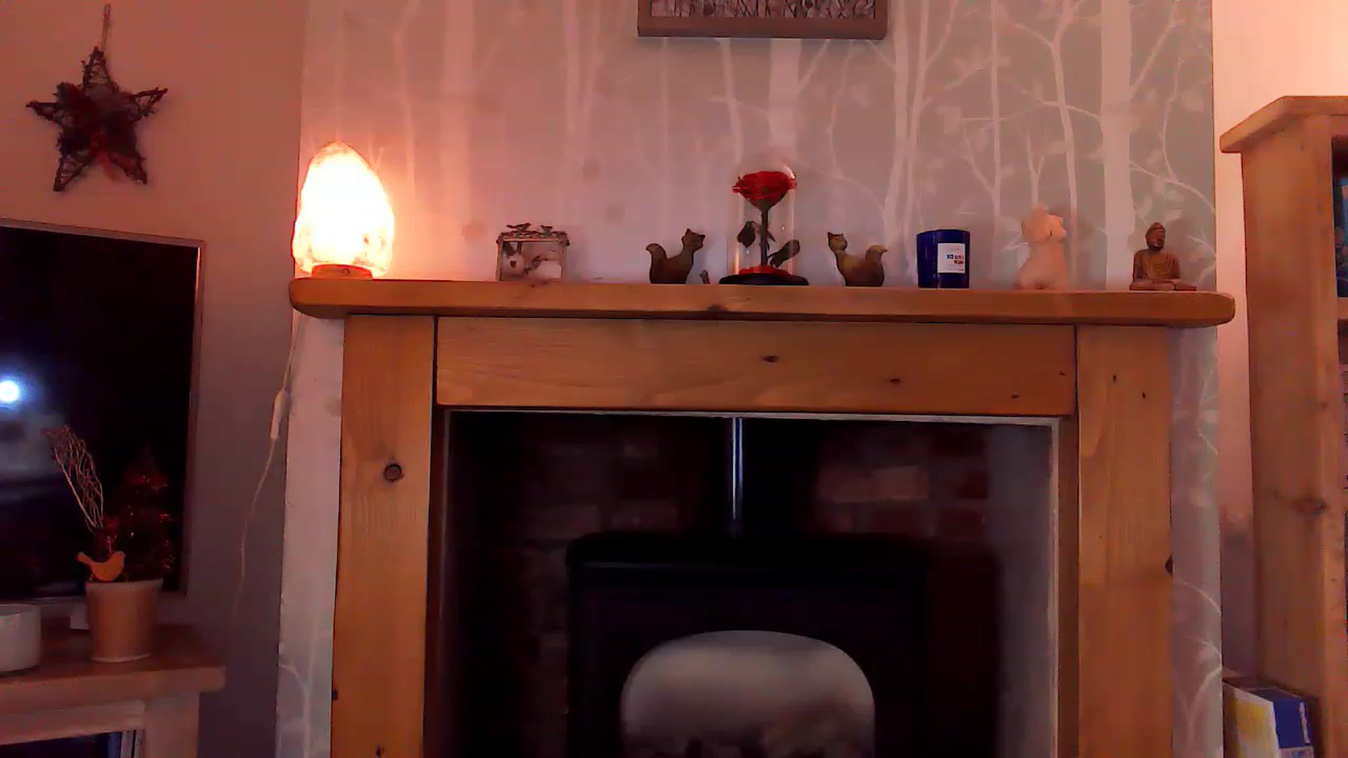 Gallery image thumbnail from BunnyDoll_x's myfreecams stream on, 01/13/2023, 08:40 image 19 of 20
