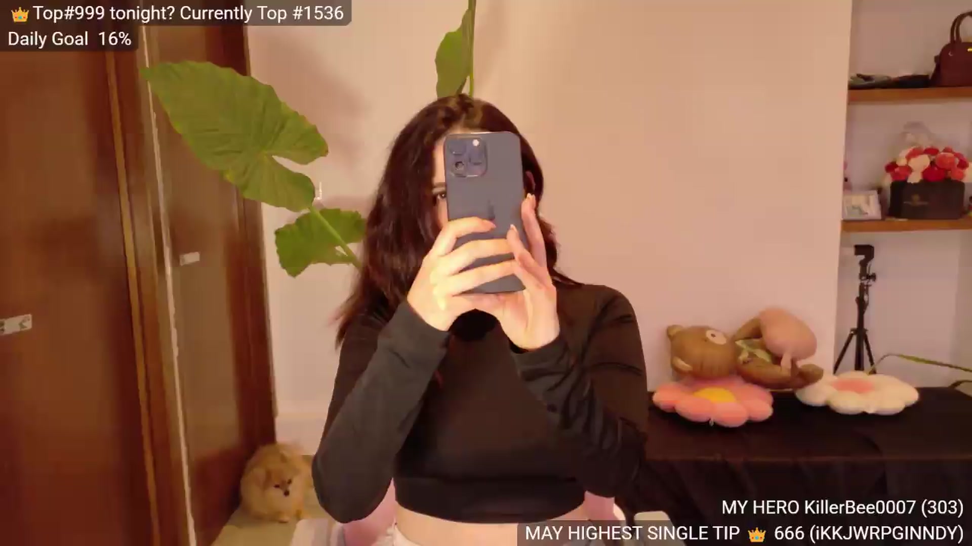 Gallery image thumbnail from BunnyGotBack's myfreecams stream on, 05/22/2026, 01:41 image 15 of 20