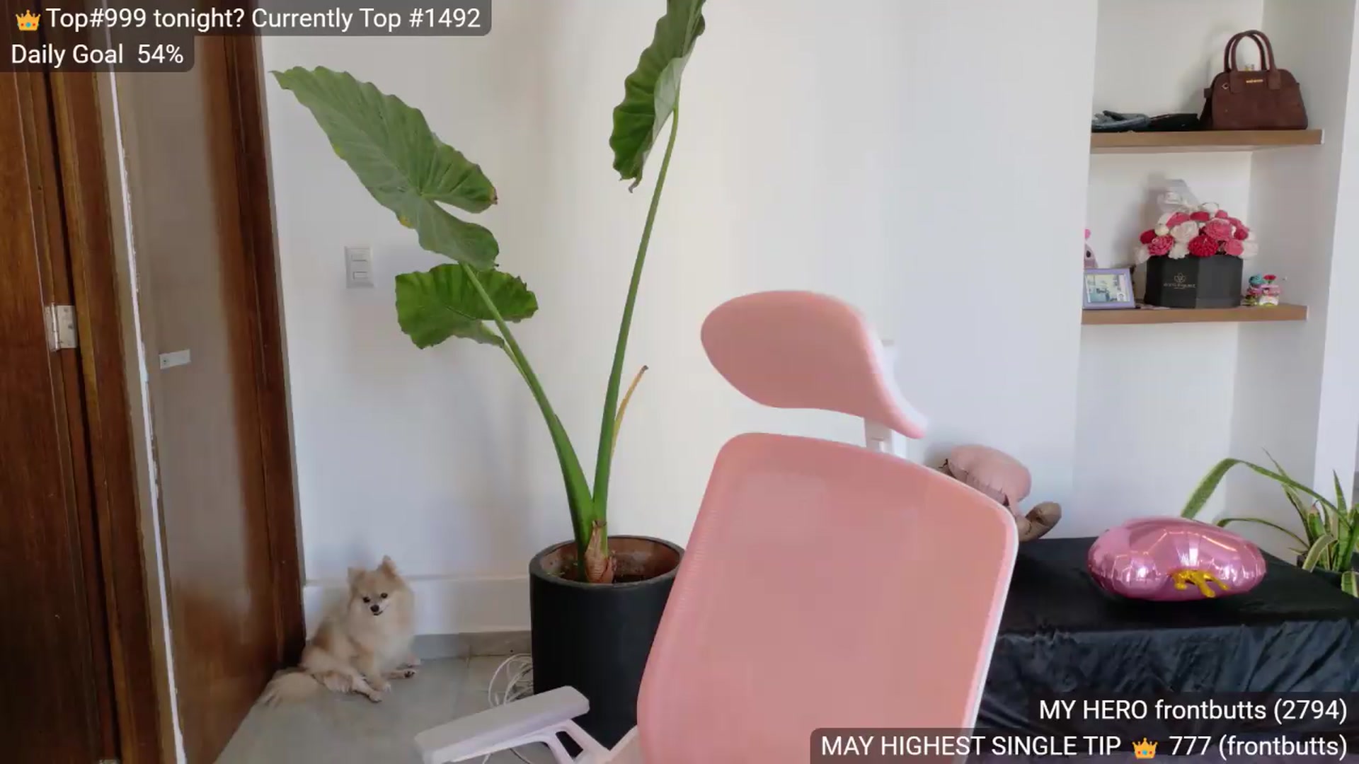 Gallery image thumbnail from BunnyGotBack's myfreecams stream on, 05/24/2026, 24:01 image 9 of 20