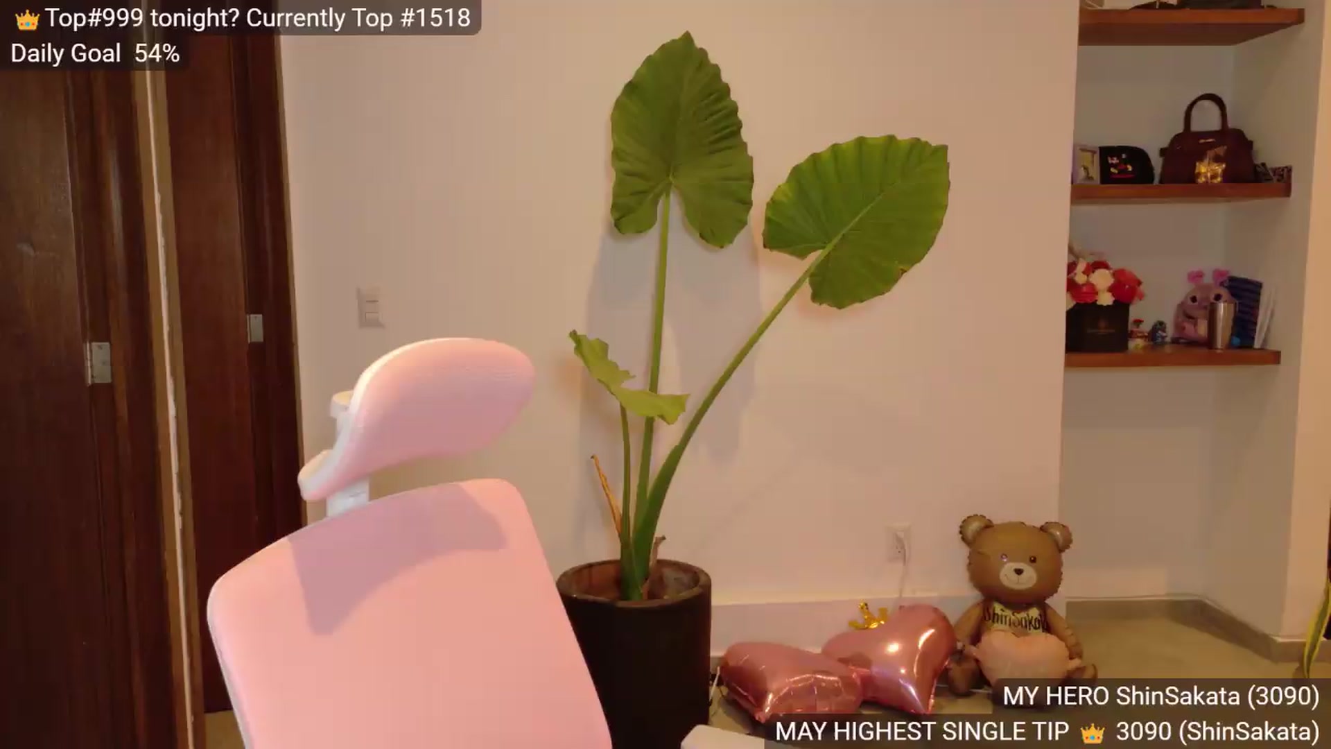 Gallery image thumbnail from BunnyGotBack's myfreecams stream on, 05/31/2026, 03:08 image 4 of 20