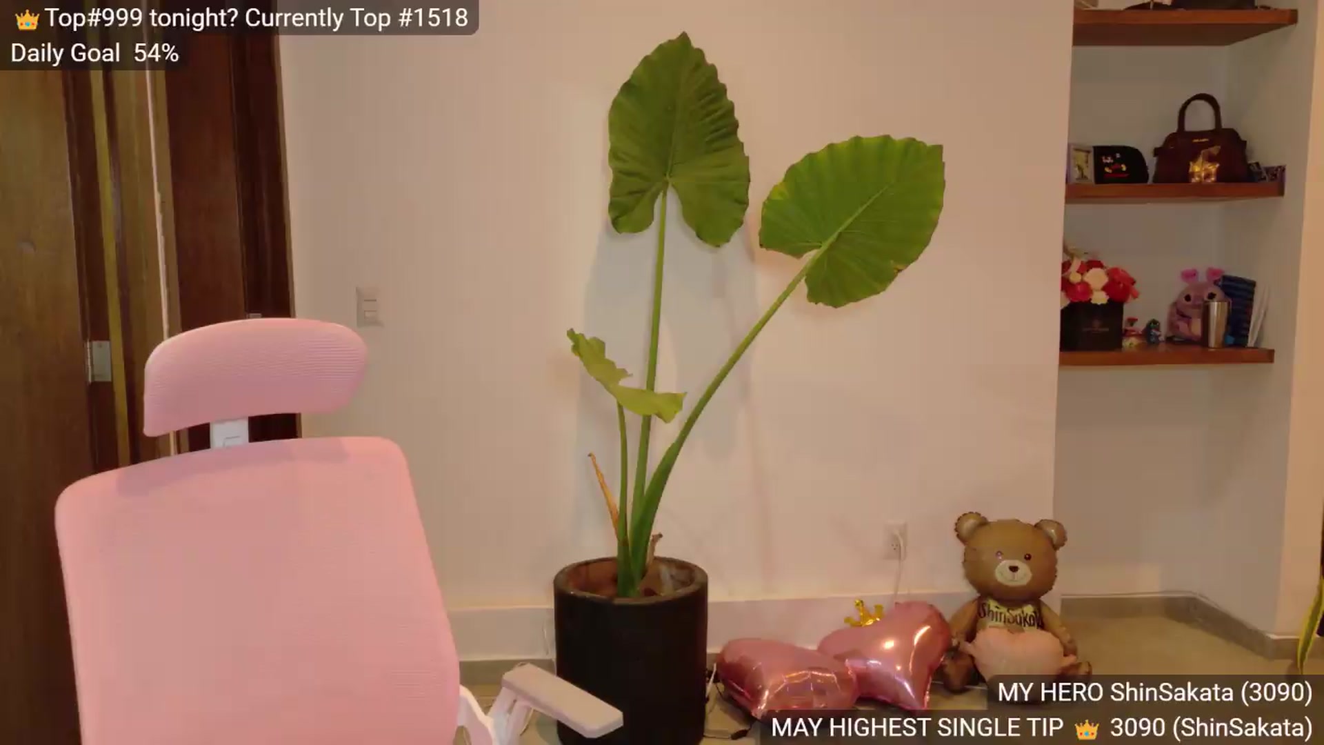 Gallery image thumbnail from BunnyGotBack's myfreecams stream on, 05/31/2026, 03:08 image 3 of 20