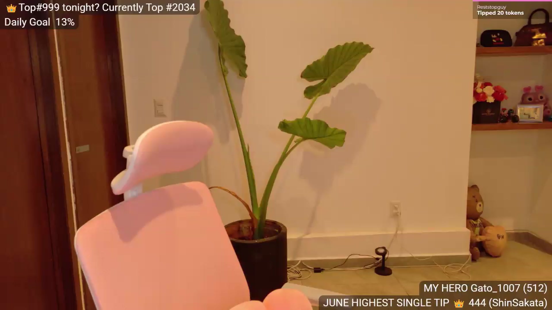 Gallery image thumbnail from BunnyGotBack's myfreecams stream on, 06/05/2026, 02:23 image 16 of 20