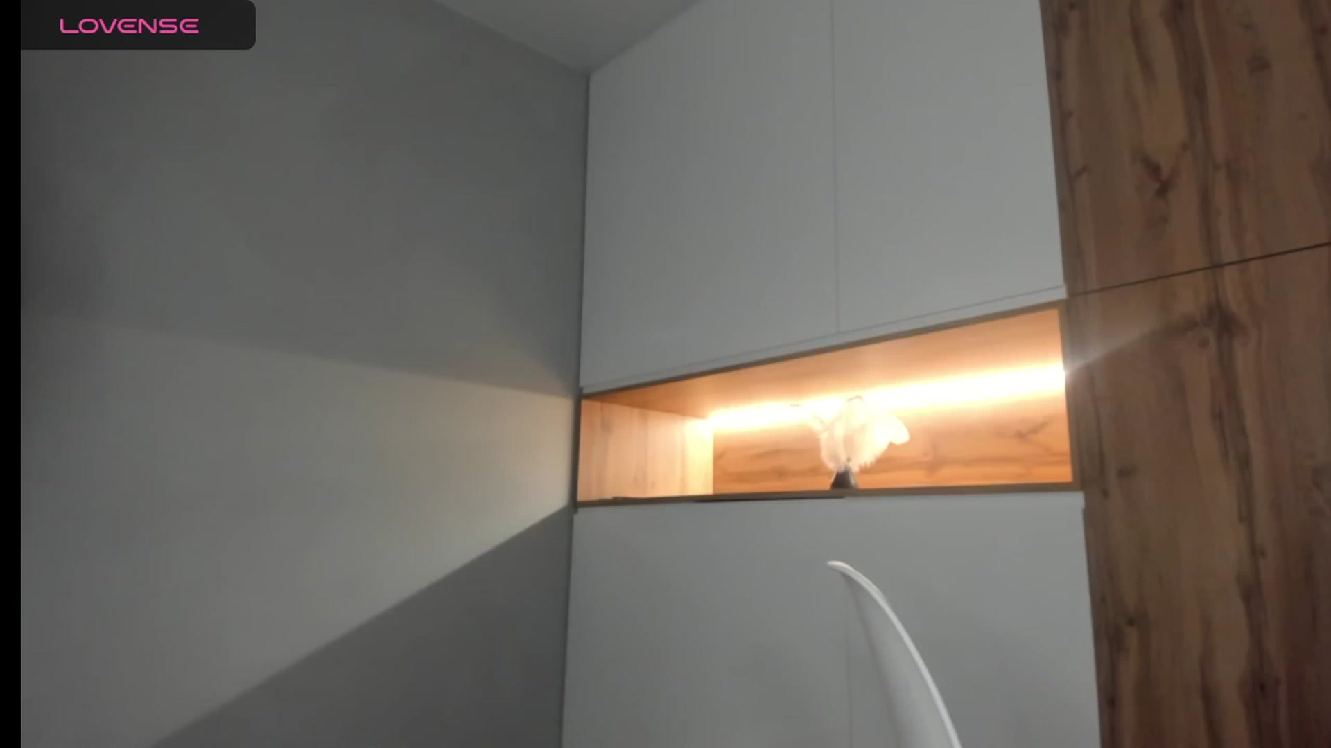 Gallery image thumbnail from BunnyK's myfreecams stream on, 11/18/2023, 21:40 image 18 of 20